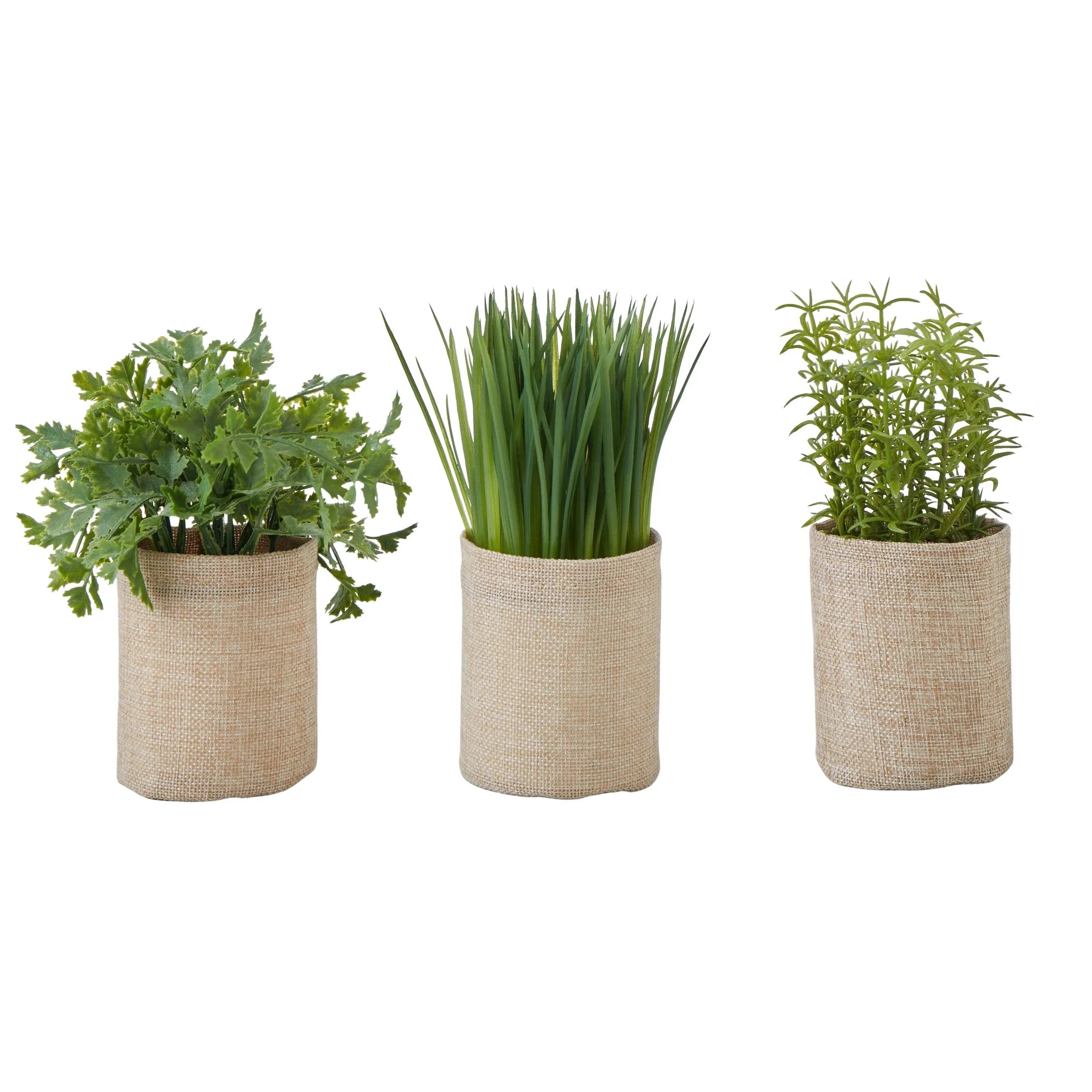 Mixed Herbs 3 Asst Designs Green 30x20x19cm - Furniture Castle