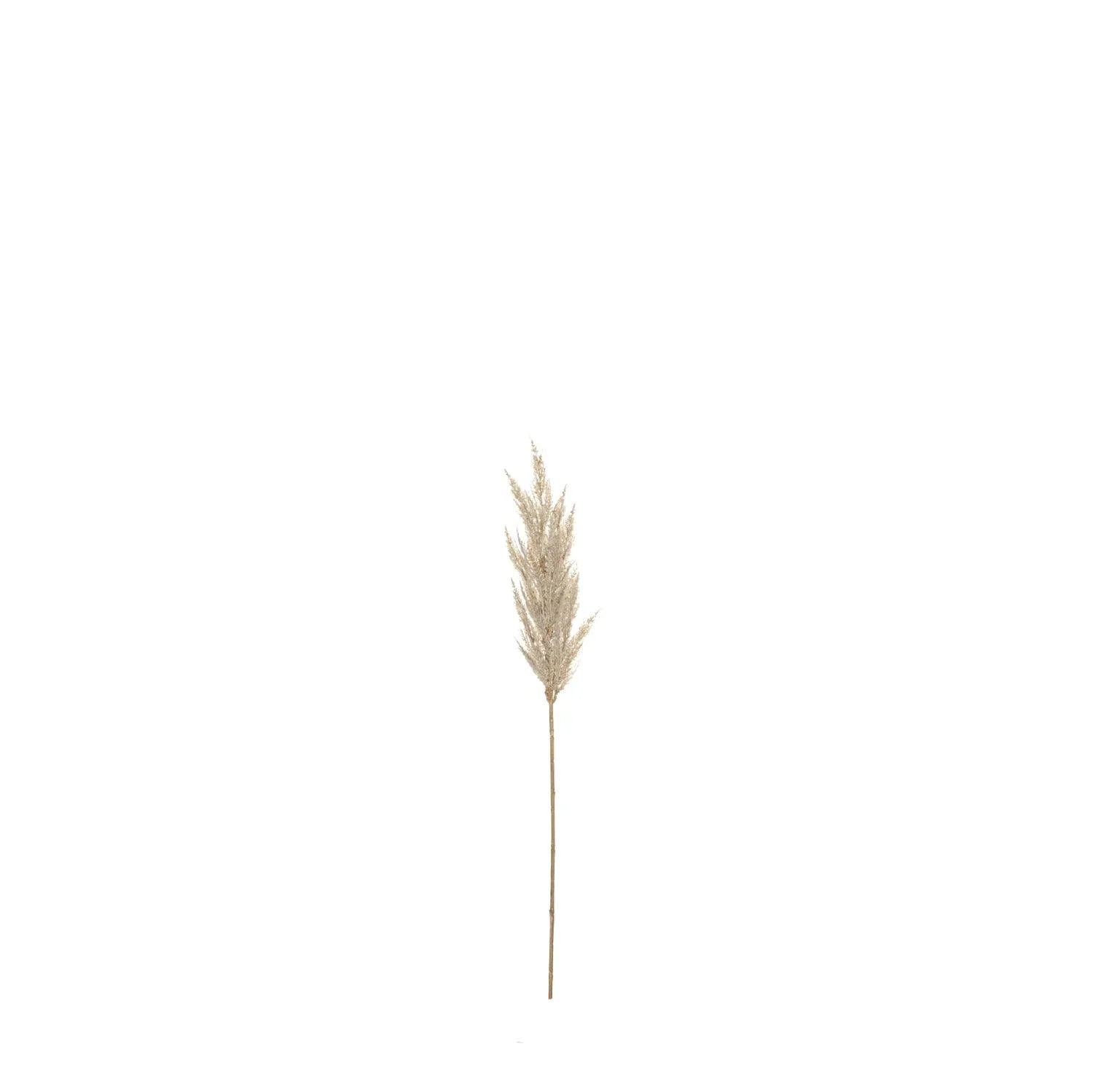 Pampas Grass Spray Cream 92cm - Furniture Castle
