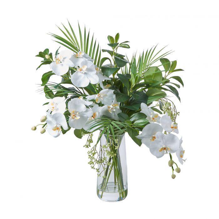 Phalaenopsis Mix-Alana Vase 61cm - Furniture Castle
