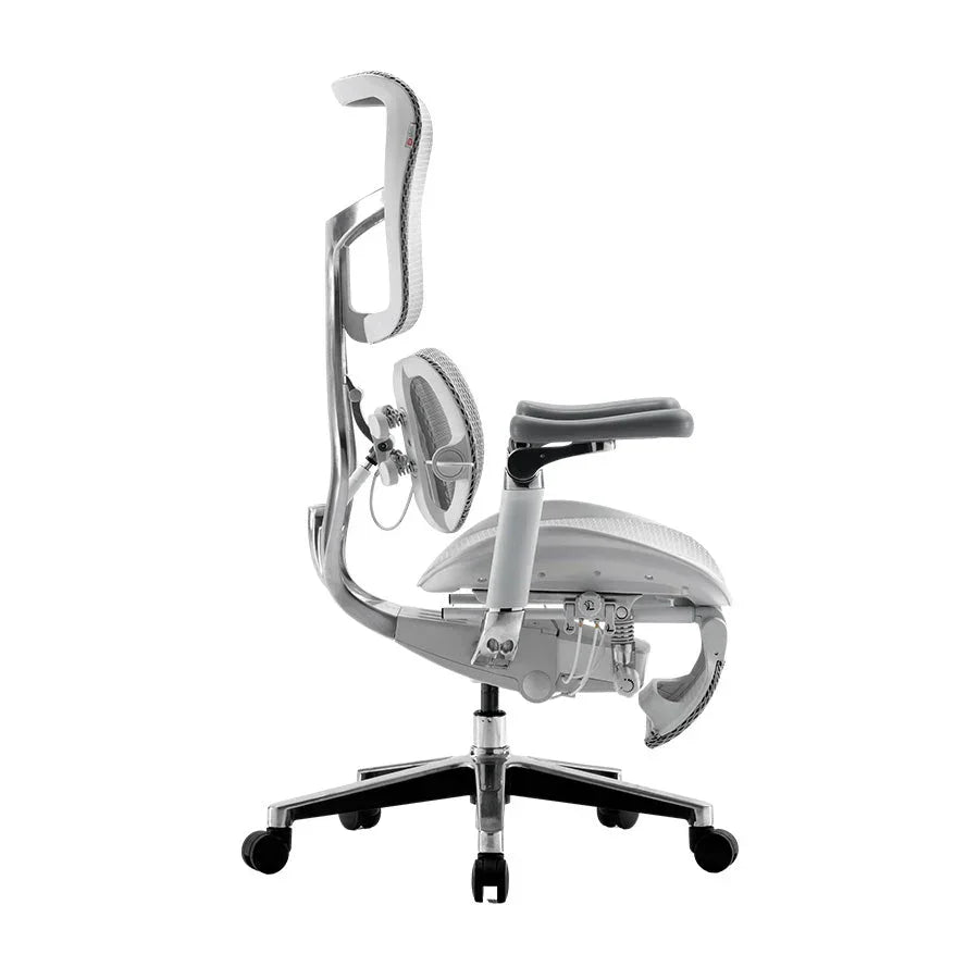 Sihoo DORO-S300 Ergonomic Office Chair/Grey with Footrest