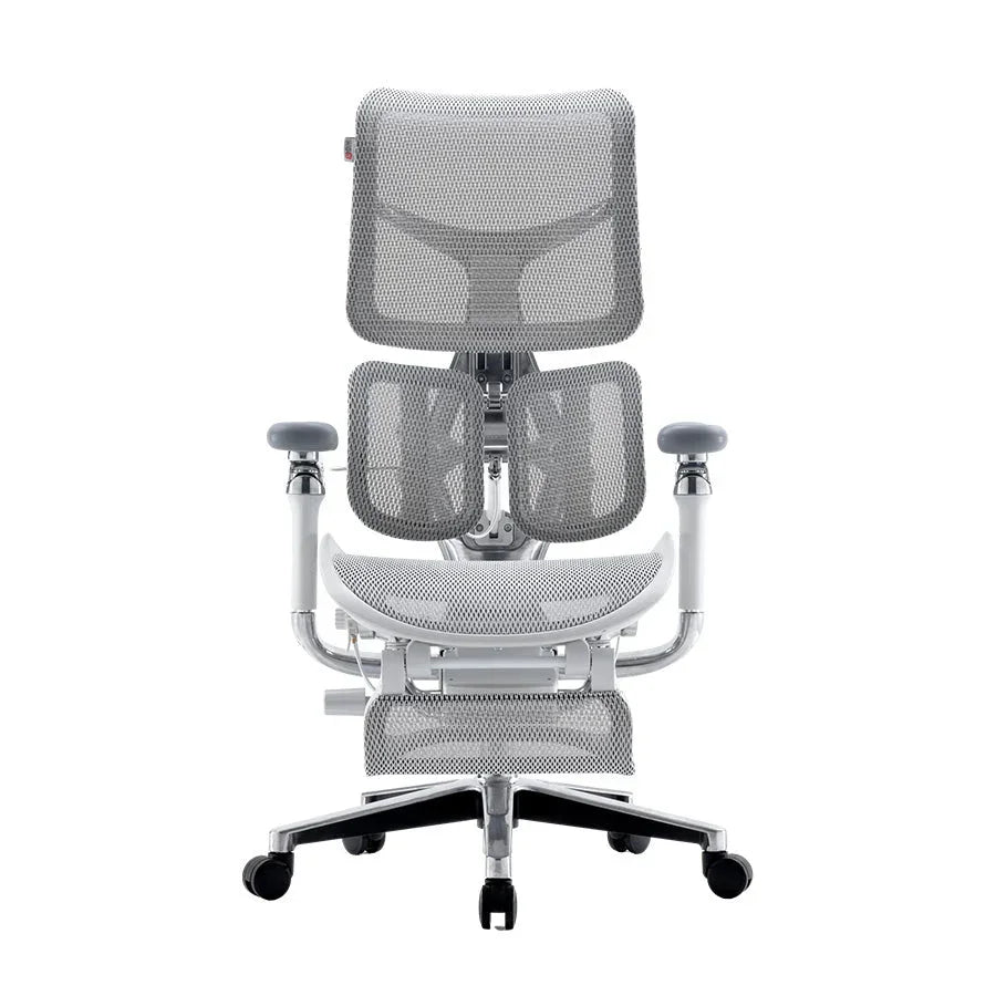 Sihoo DORO-S300 Ergonomic Office Chair/Grey with Footrest