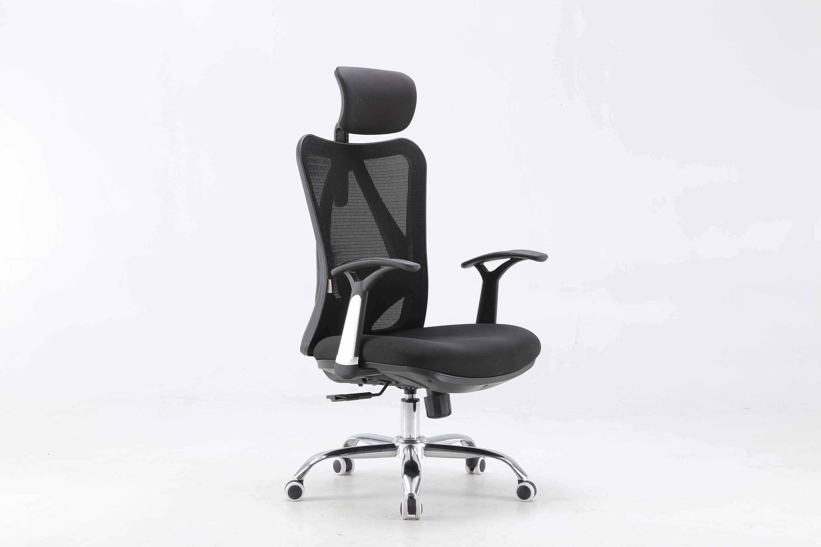 Sihoo M16 Ergonomics Office Chair/Black Mesh