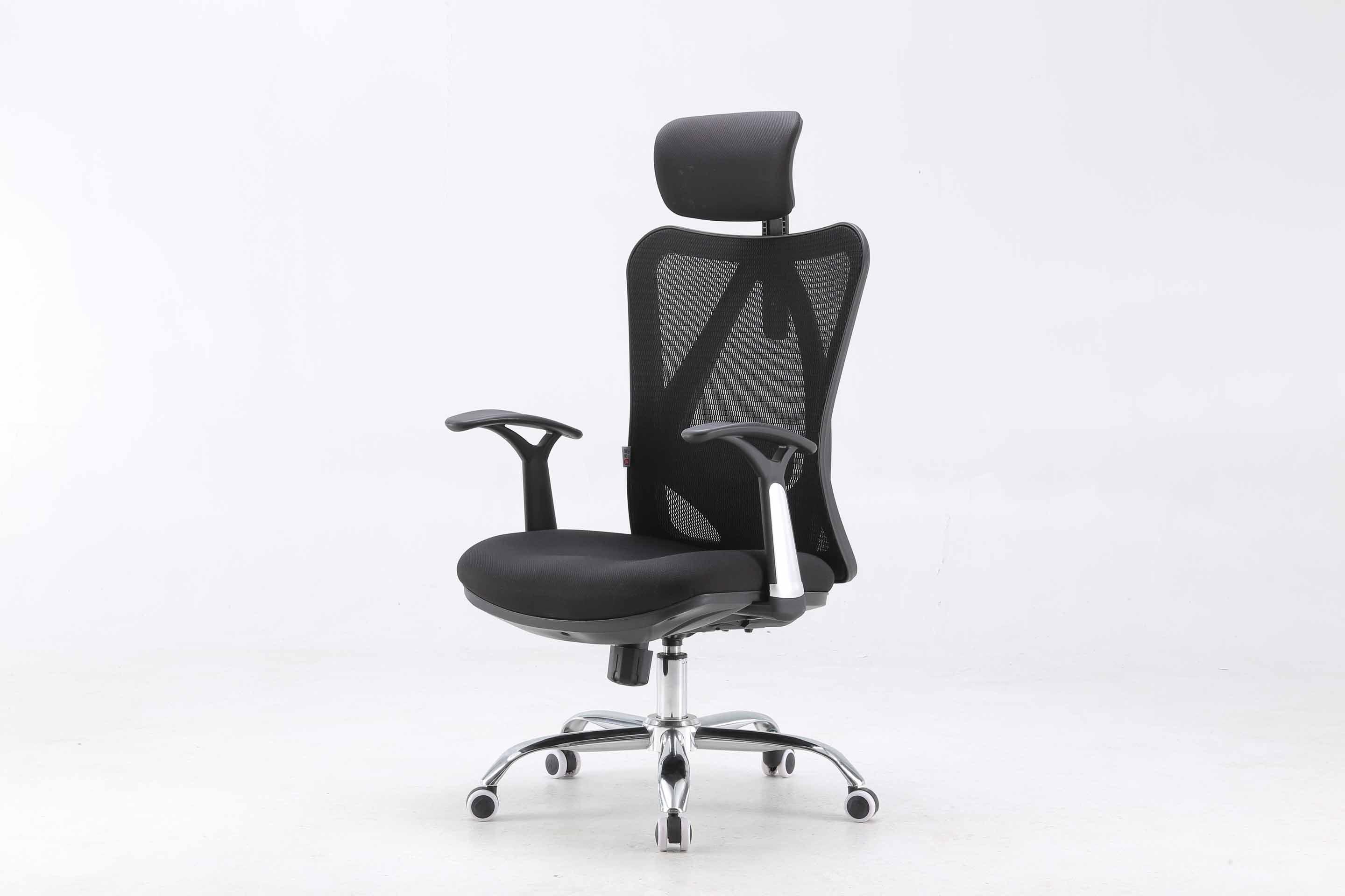 Sihoo M16 Ergonomics Office Chair/Black Mesh