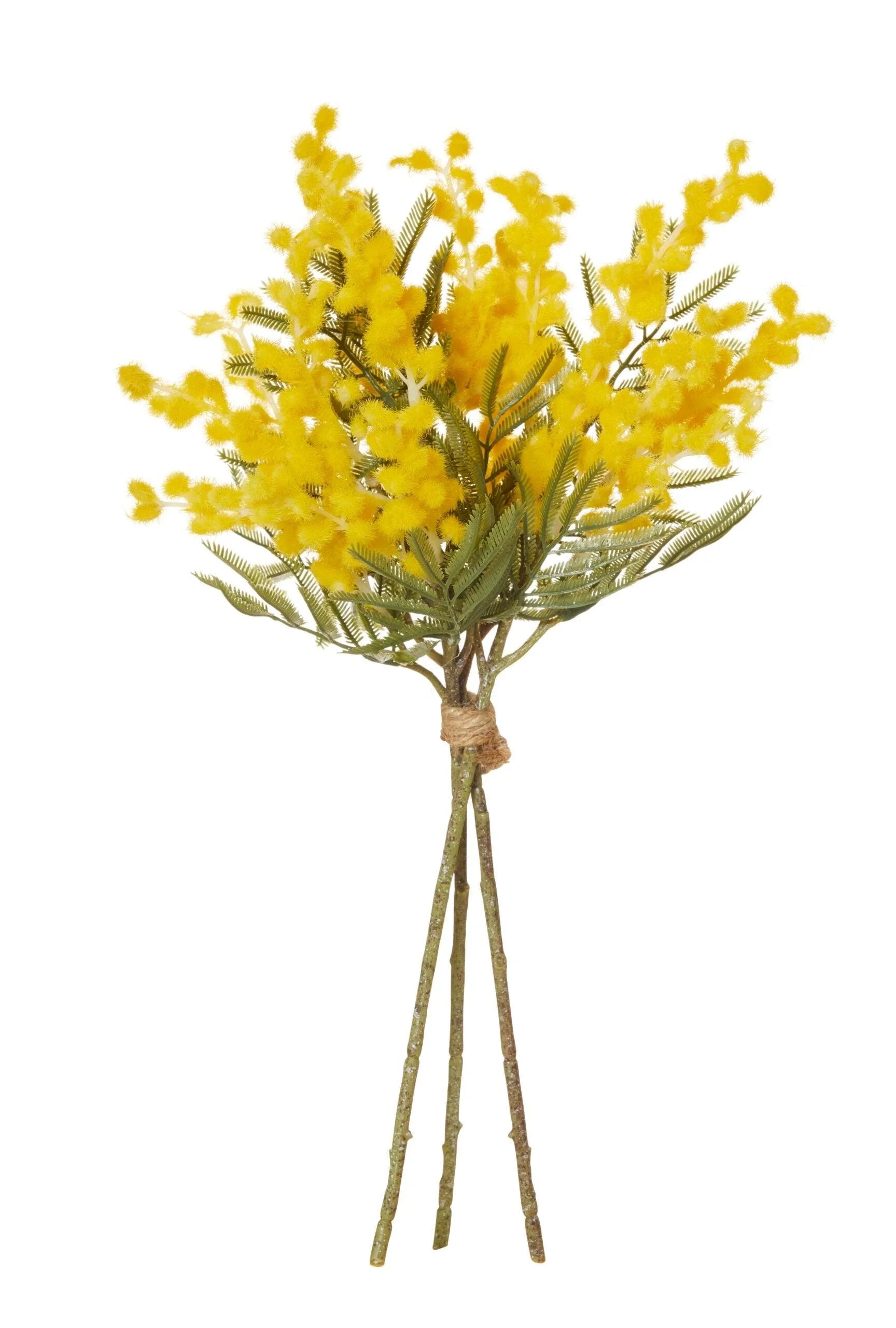 Wattle Bundle Yellow 20x20x40cm - Furniture Castle