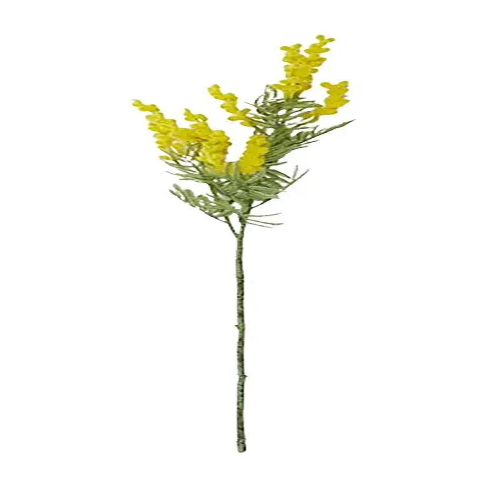 Wattle Stem 78cm Green/Yellow - Furniture Castle