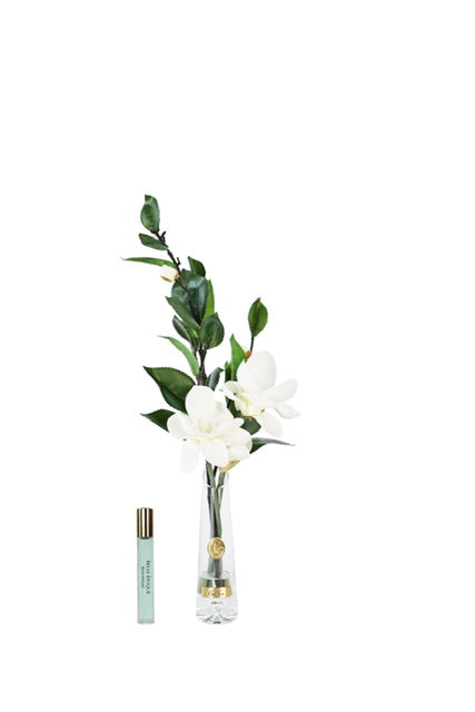 ** NEW ** Cote Noire Summer Magnolia - White & Gold - SMG01