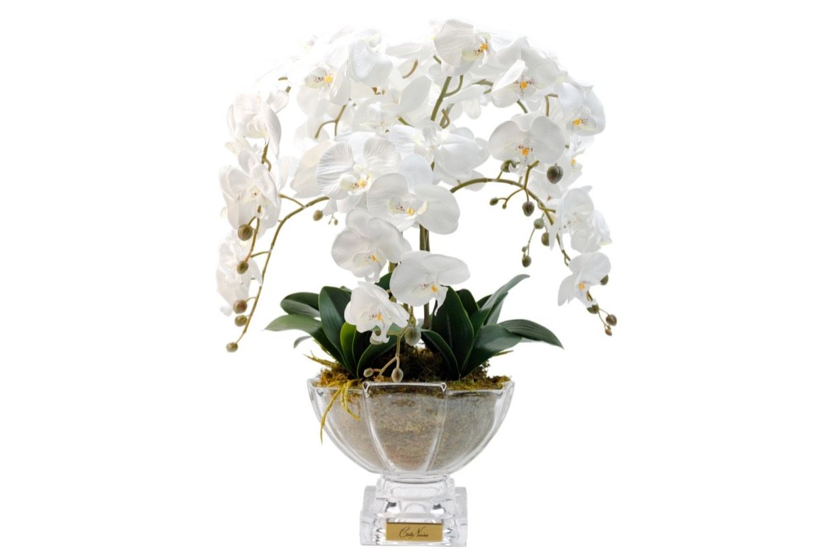 Cote Noire Luxury Orchid Centrepiece Bouquet - White & Gold Badge - CPO01