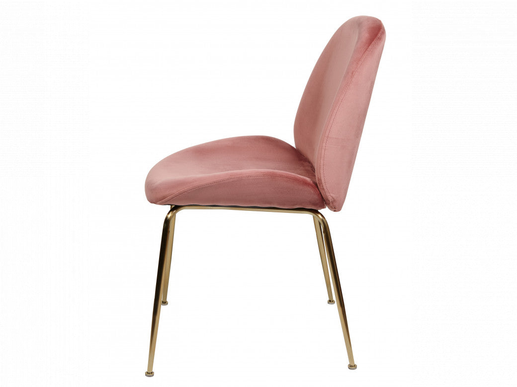 Asta Dining Chair Blush Velvet  And Gold Frame (Set of 2)