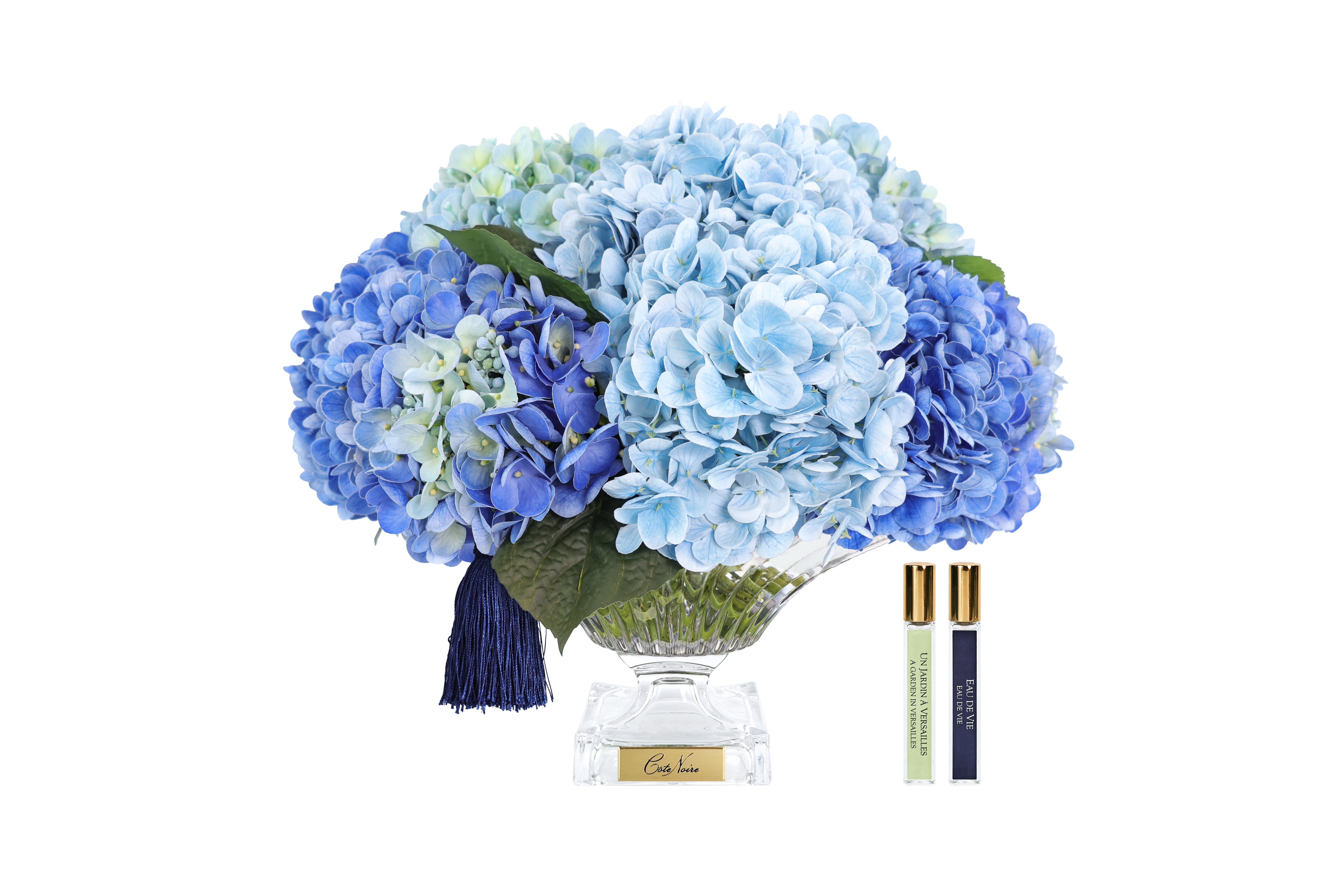 NEW - Cote Noire - Bordeaux Blue Hydrangeas - BCH03