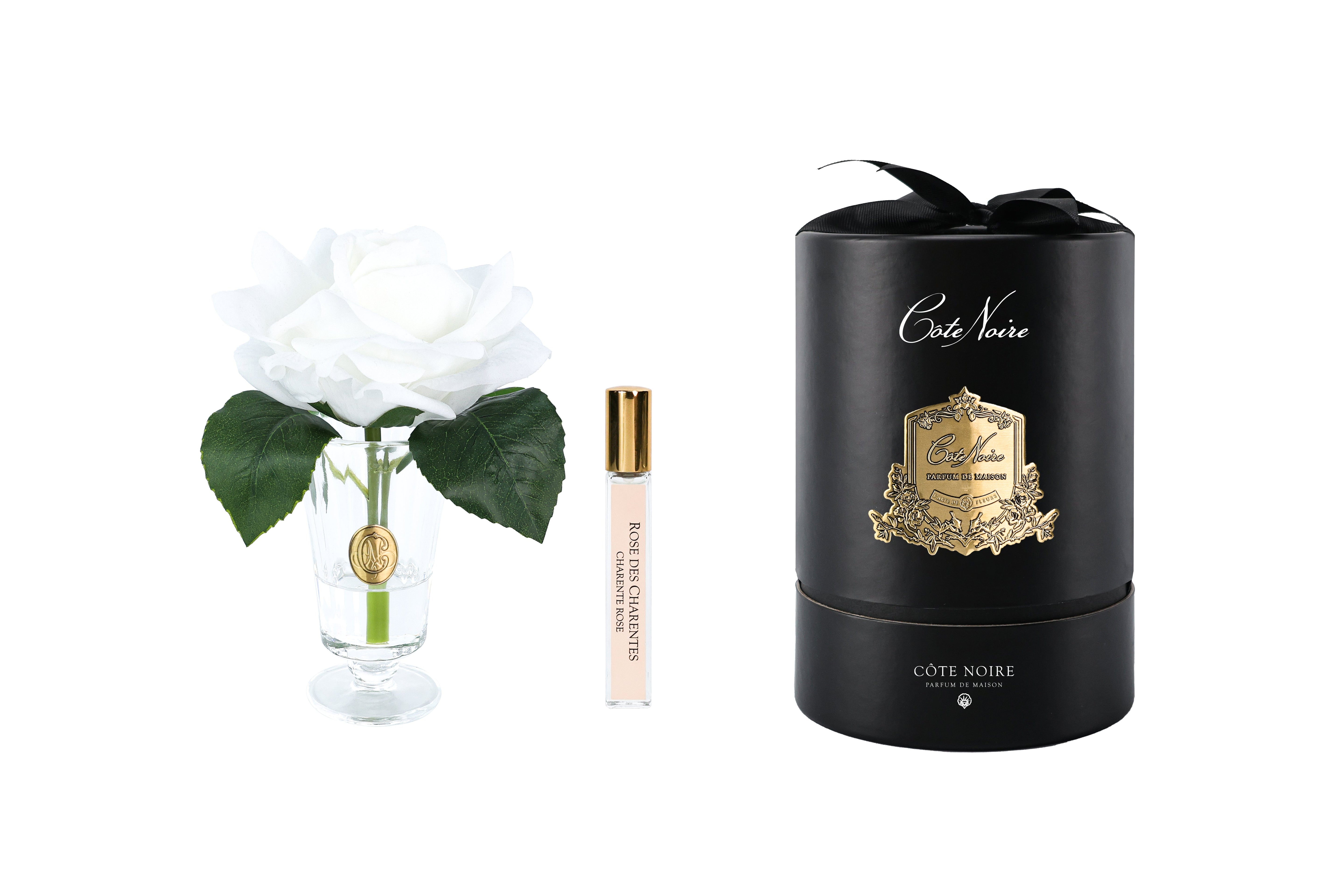 NEW - Cote Noire - Charente Rose in Ivory White - Gold/Black Box - CHR01