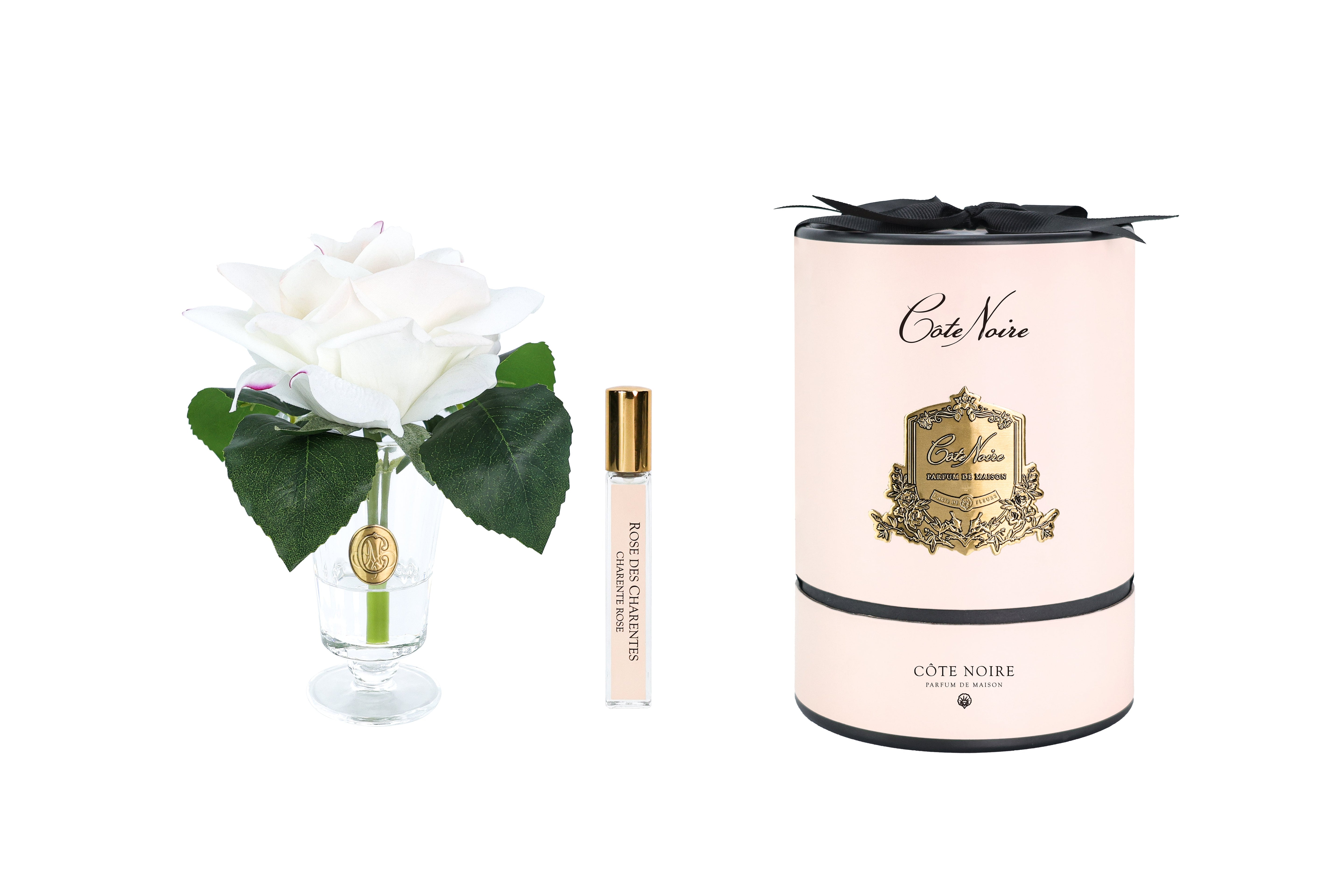 NEW - Cote Noire - Charente Rose in Pink Blush - Gold/Pink Box - CHR02
