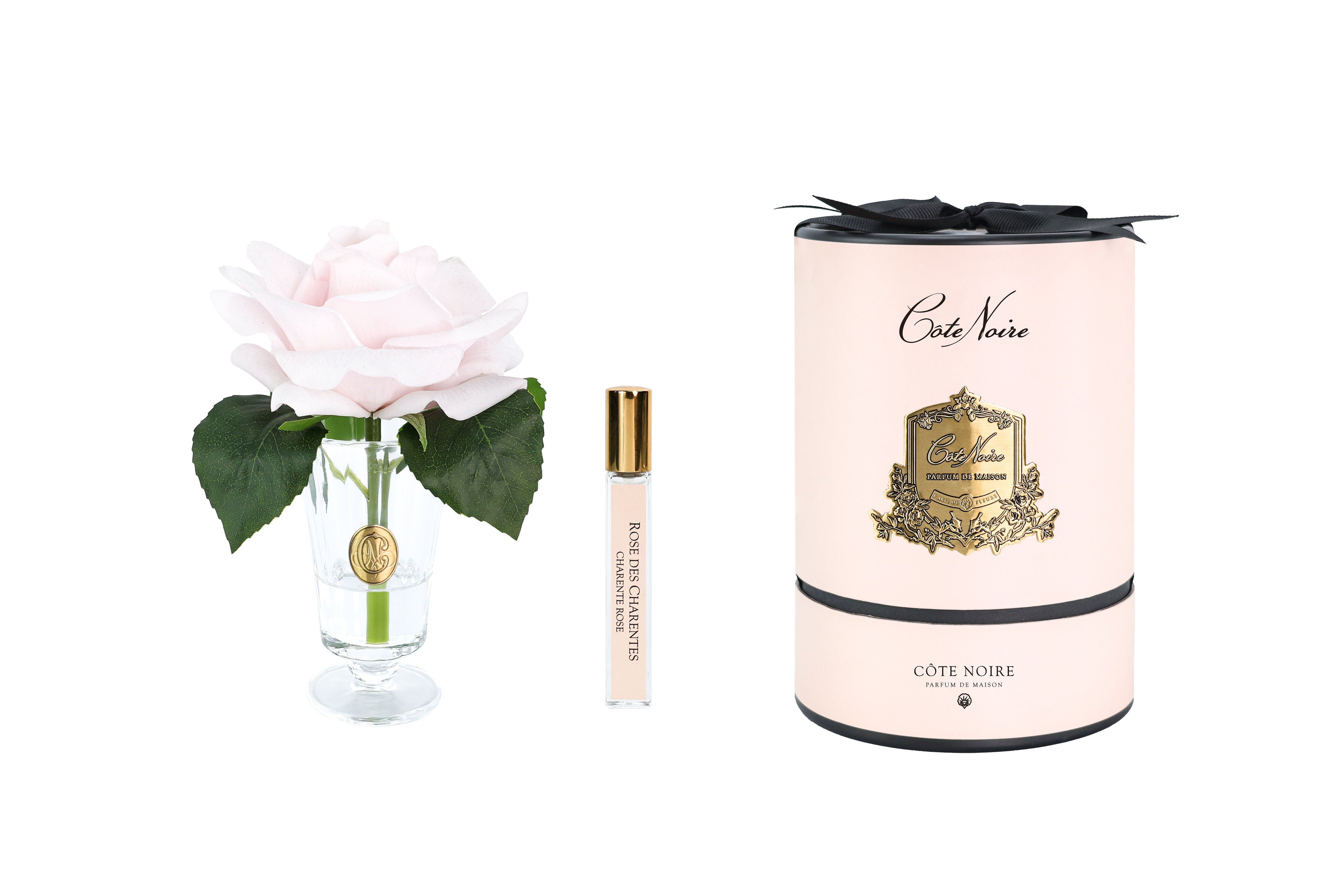 NEW - Cote Noire - Charente Rose in French Pink- Gold/Pink Box - CHR06