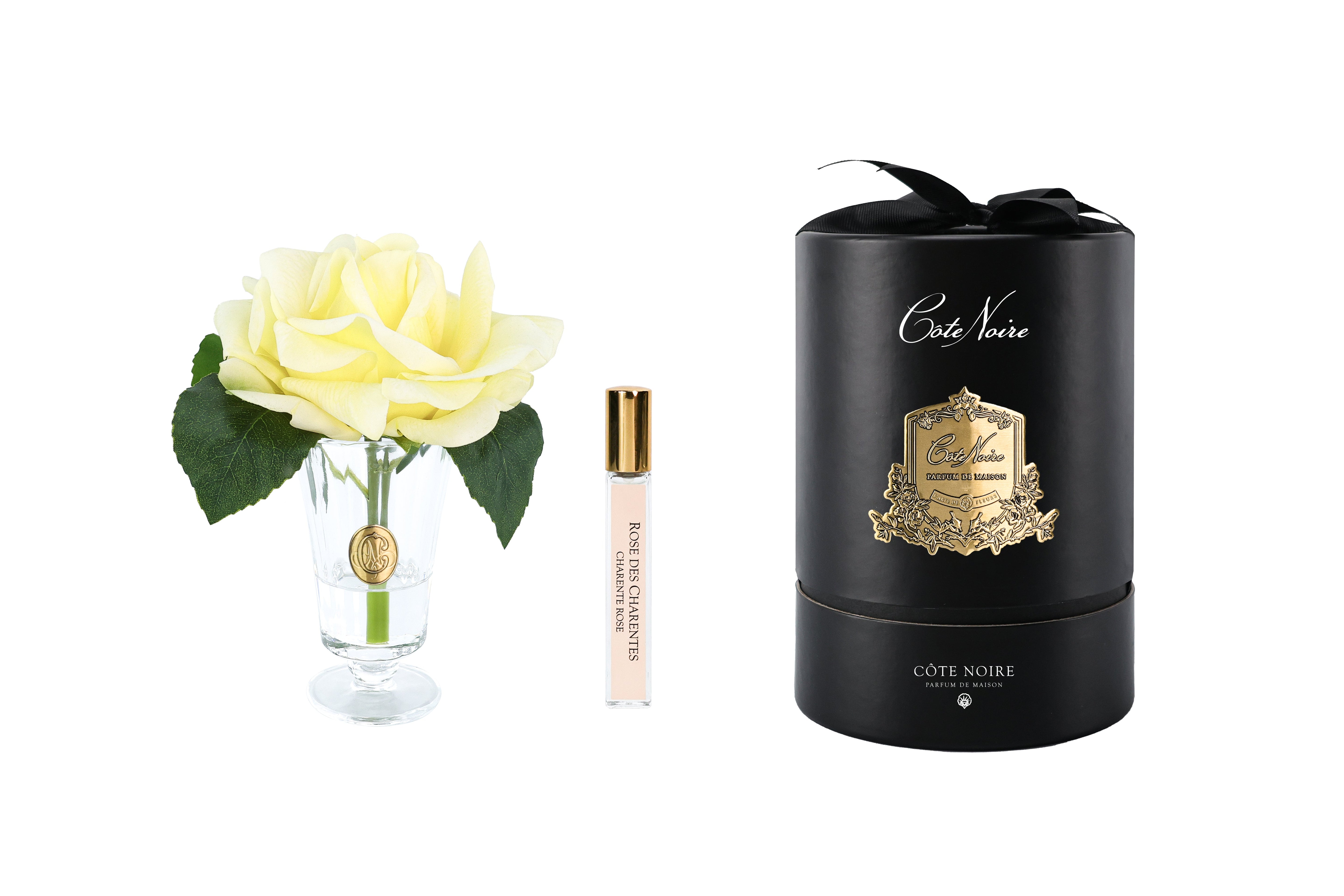 NEW - Cote Noire - Charente Rose in Yellow - Gold/Black Box - CHR08