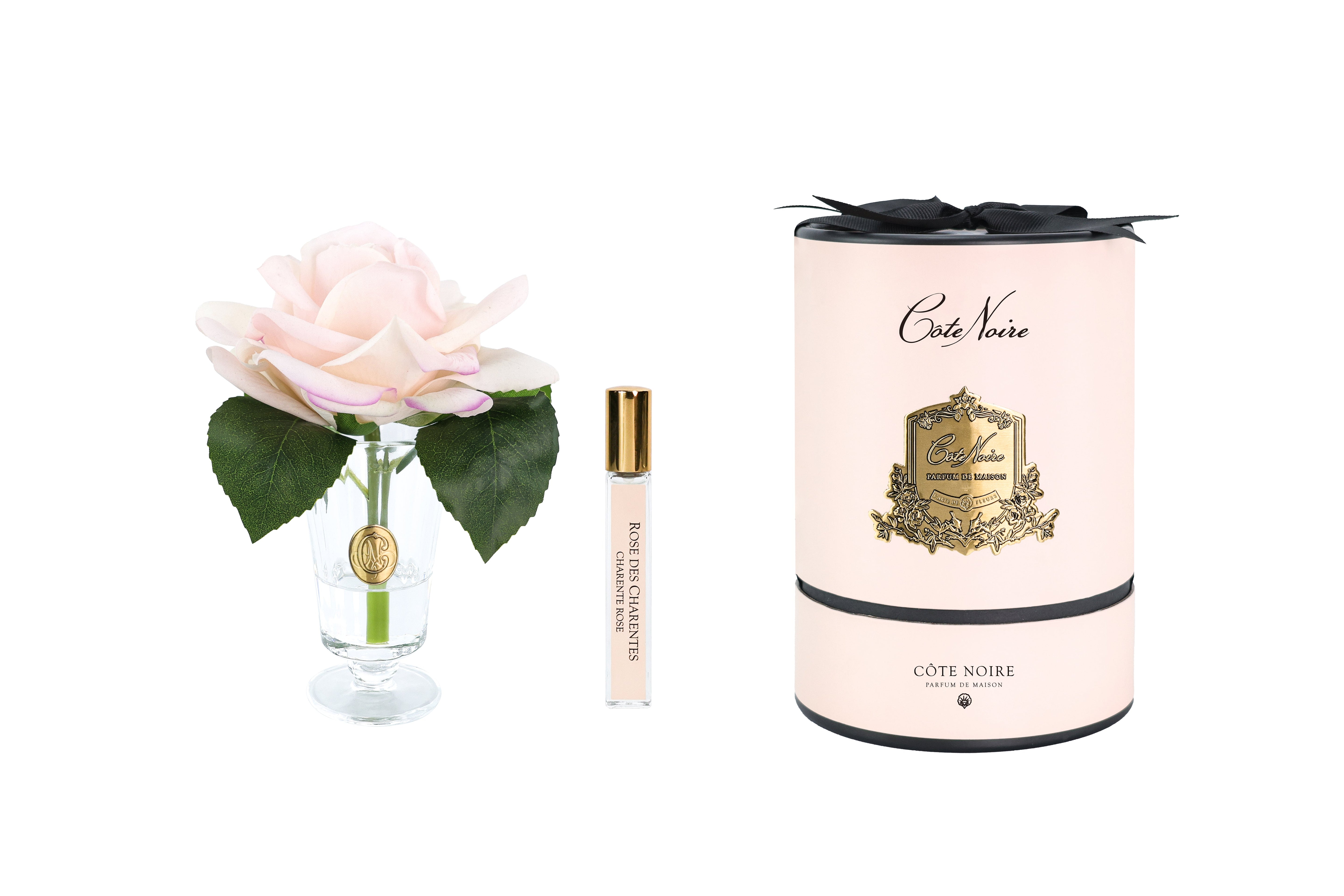 NEW - Cote Noire - Charente Rose in Champagne Pink - Gold/Pink Box - CHR15