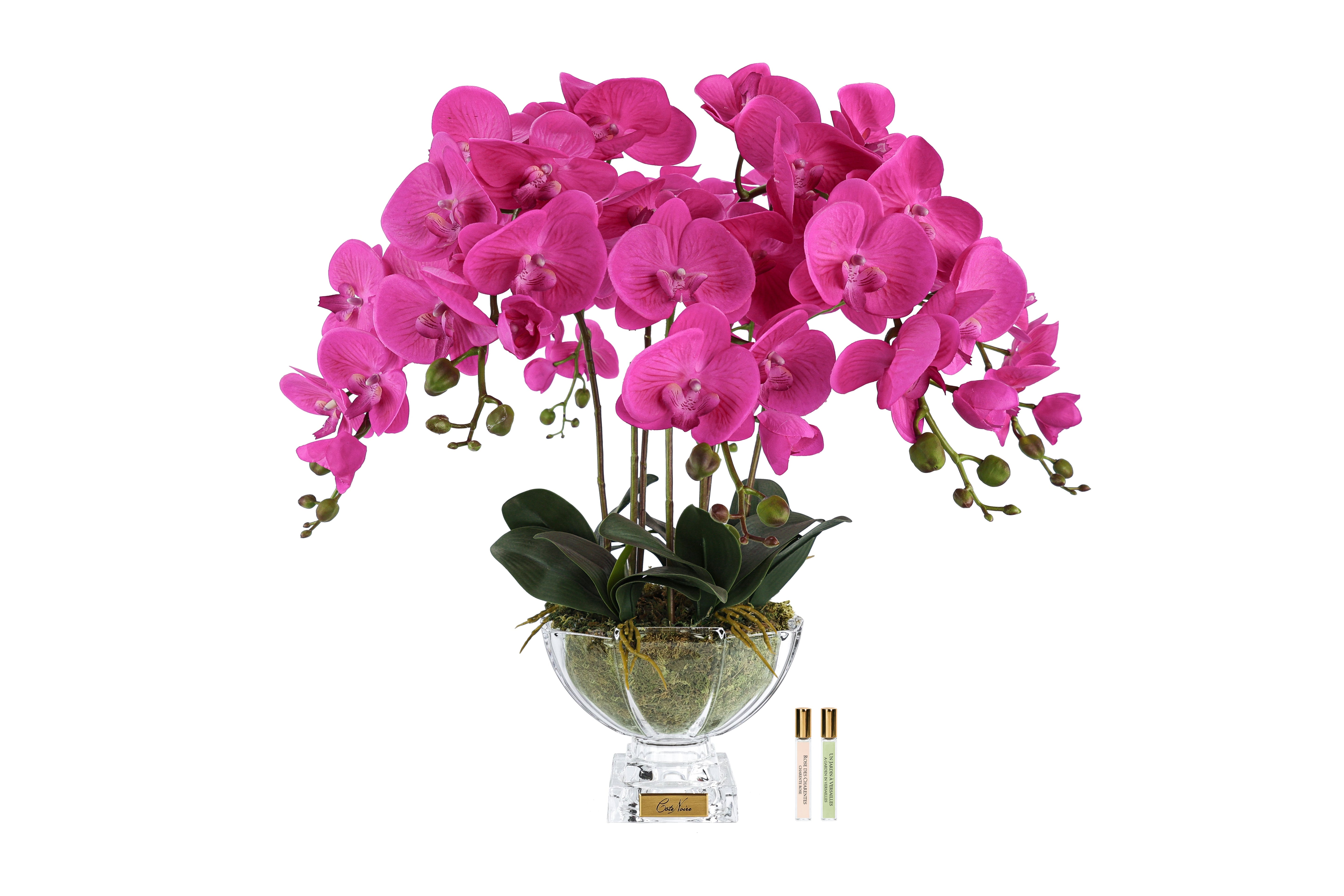 Cote Noire Luxury Orchid Centrepiece Bouquet - Pink & Gold Badge - CPO09