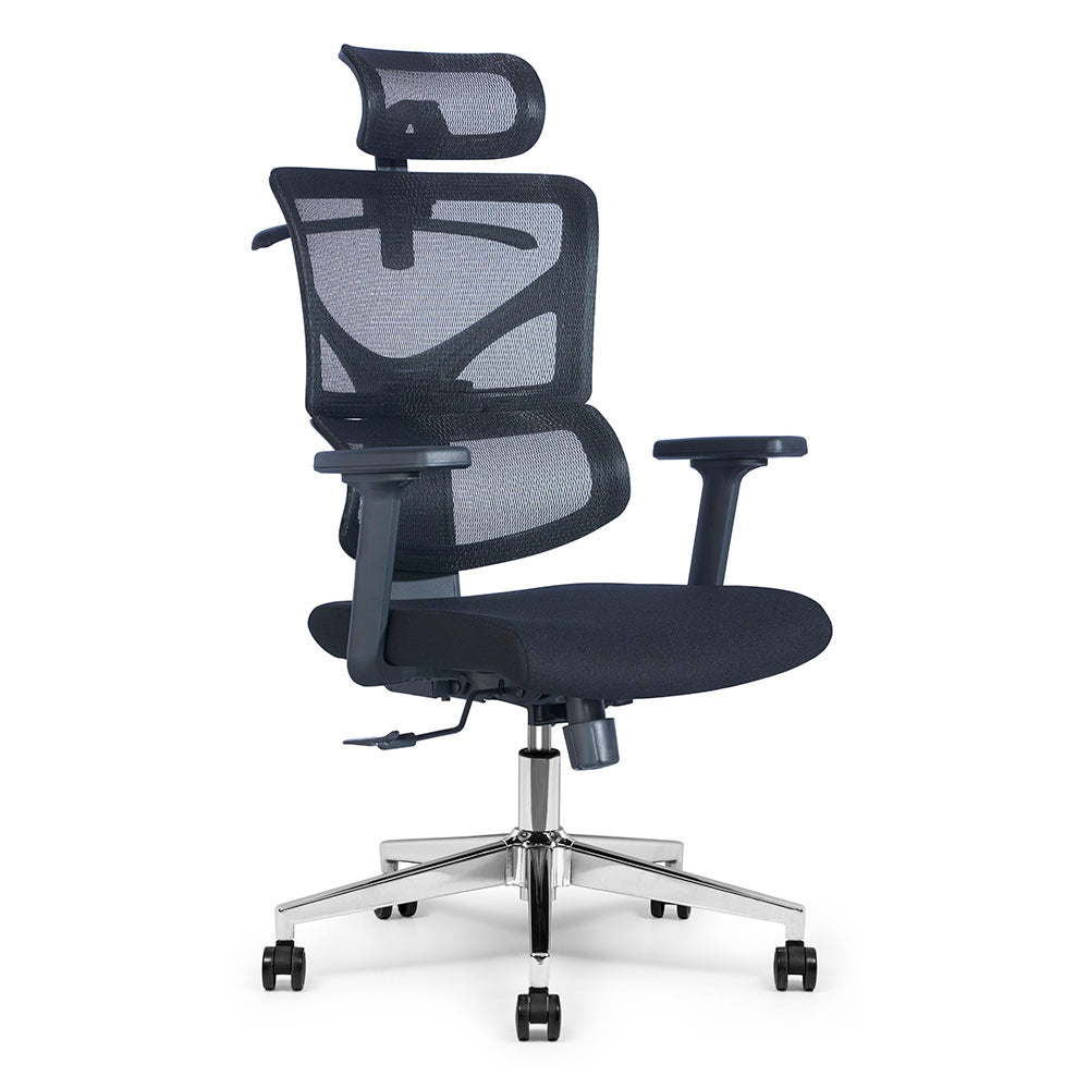BIRGER Executive Office Chair with Headrest - Black