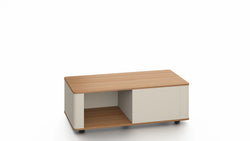 Ebony Coffee Table 120cmX60cmX45cm- Golden Oak & Grey