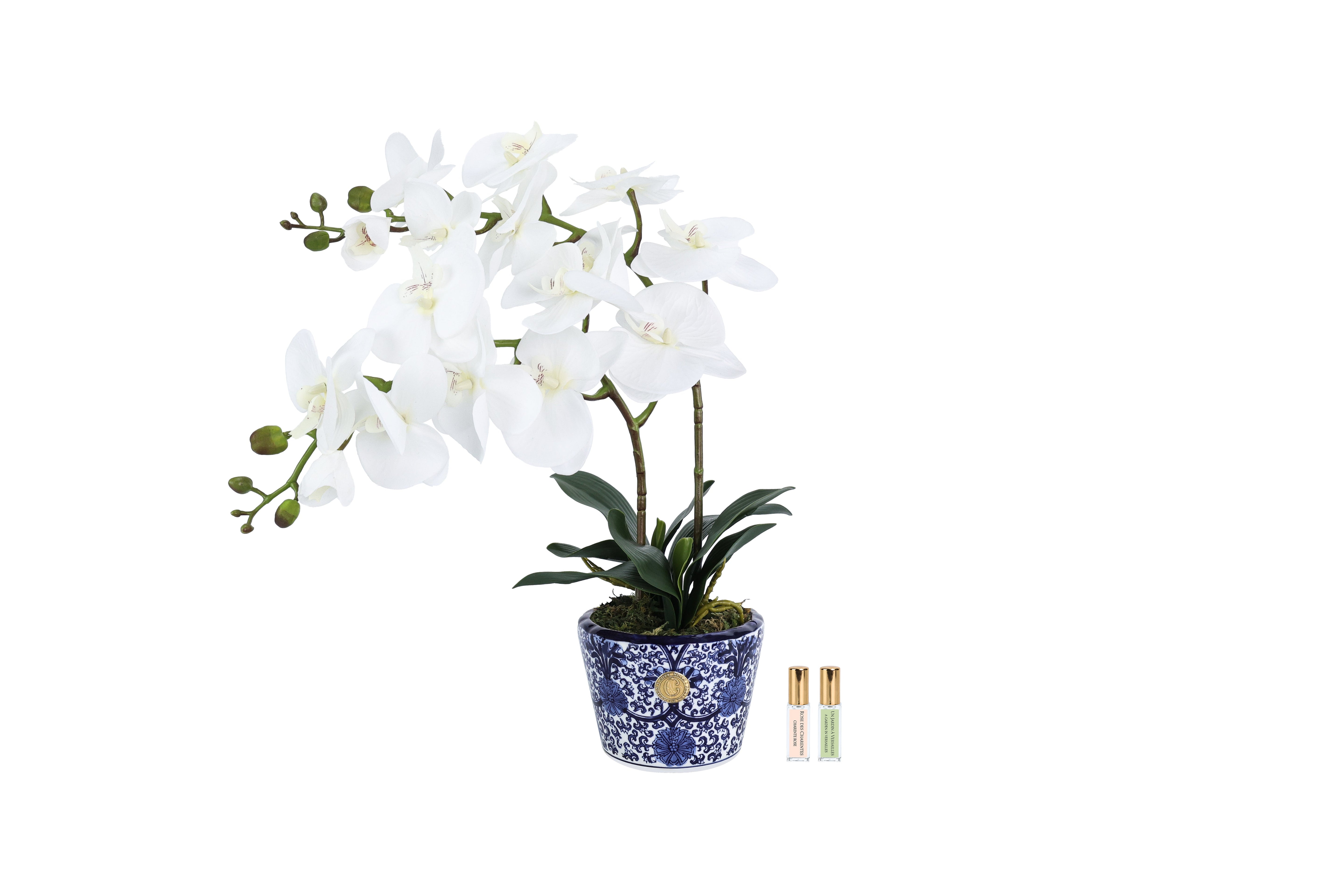 NEW Cote Noire - Double Orchid - Chinoiserie / White - DOC01