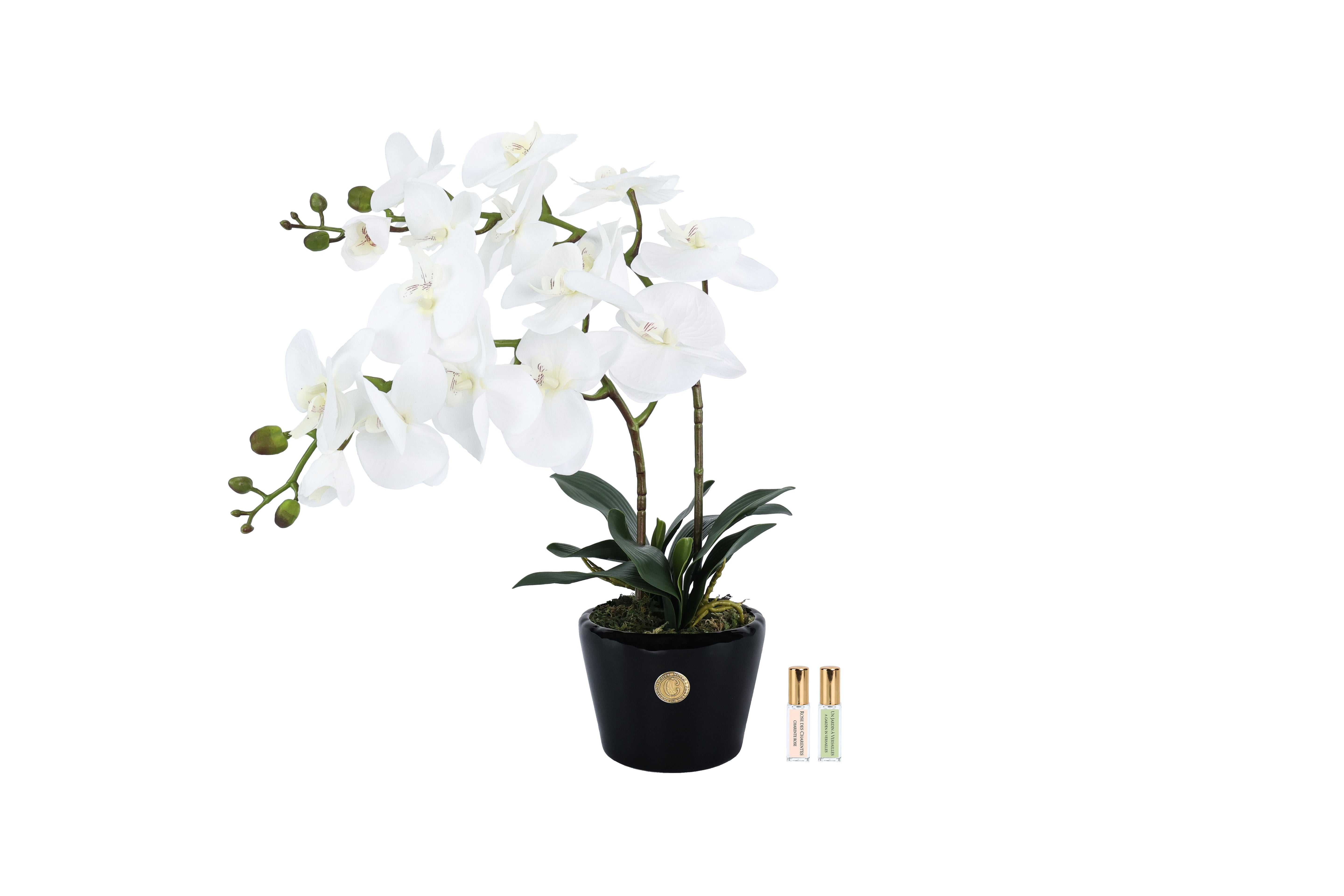 NEW Cote Noire - Double Orchid - Piano Black / White - DOP01