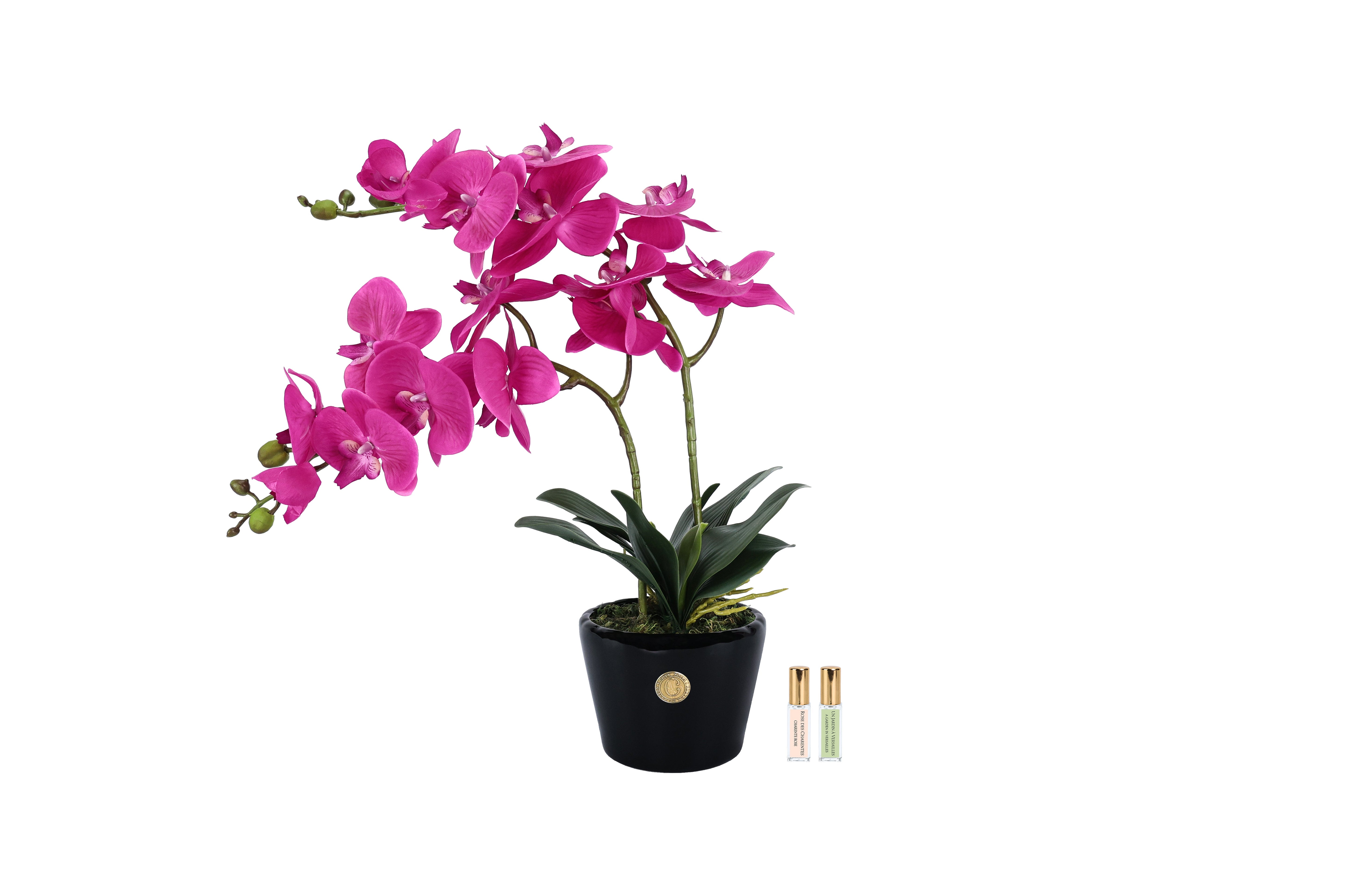 NEW Cote Noire - NEW Double Orchid - Piano black / Fuchsia - DOP09