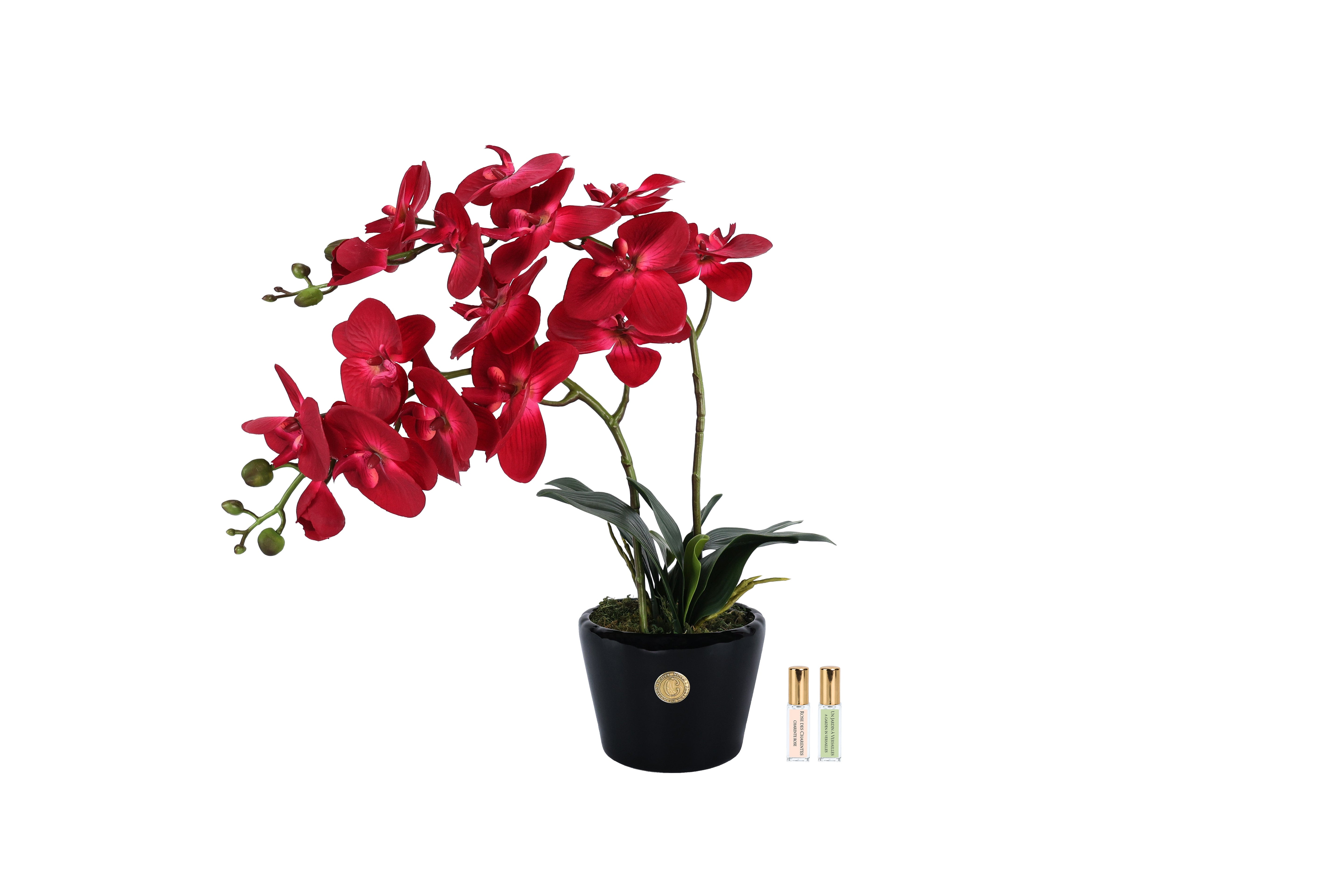 NEW Cote Noire - Double Orchid - Piano Black / Scarlet - DOP14