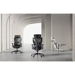 Alexa High Back Task Chair with Headrest-Grey frame– by FC