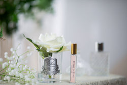 Cote Noire Perfumed Natural Touch Single Rose - Clear - White - GMR01