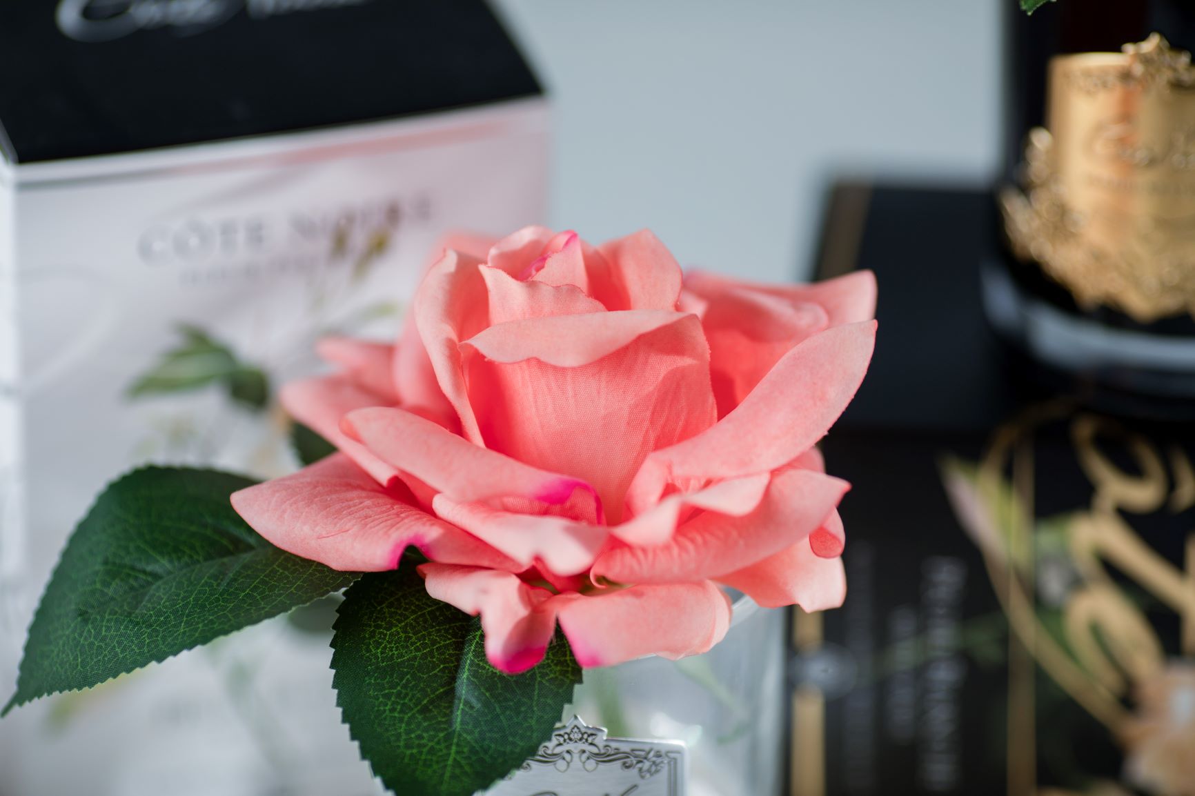 Cote Noire Perfumed Natural Touch Single Rose - Clear - Peach - GMR05