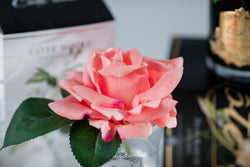 Cote Noire Perfumed Natural Touch Single Rose - Clear - Peach - GMR05