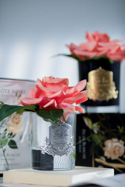 Cote Noire Perfumed Natural Touch Single Rose - Clear - Peach - GMR05