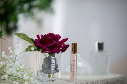 Cote Noire Perfumed Natural Touch Single Rose - Clear - Red - GMR04