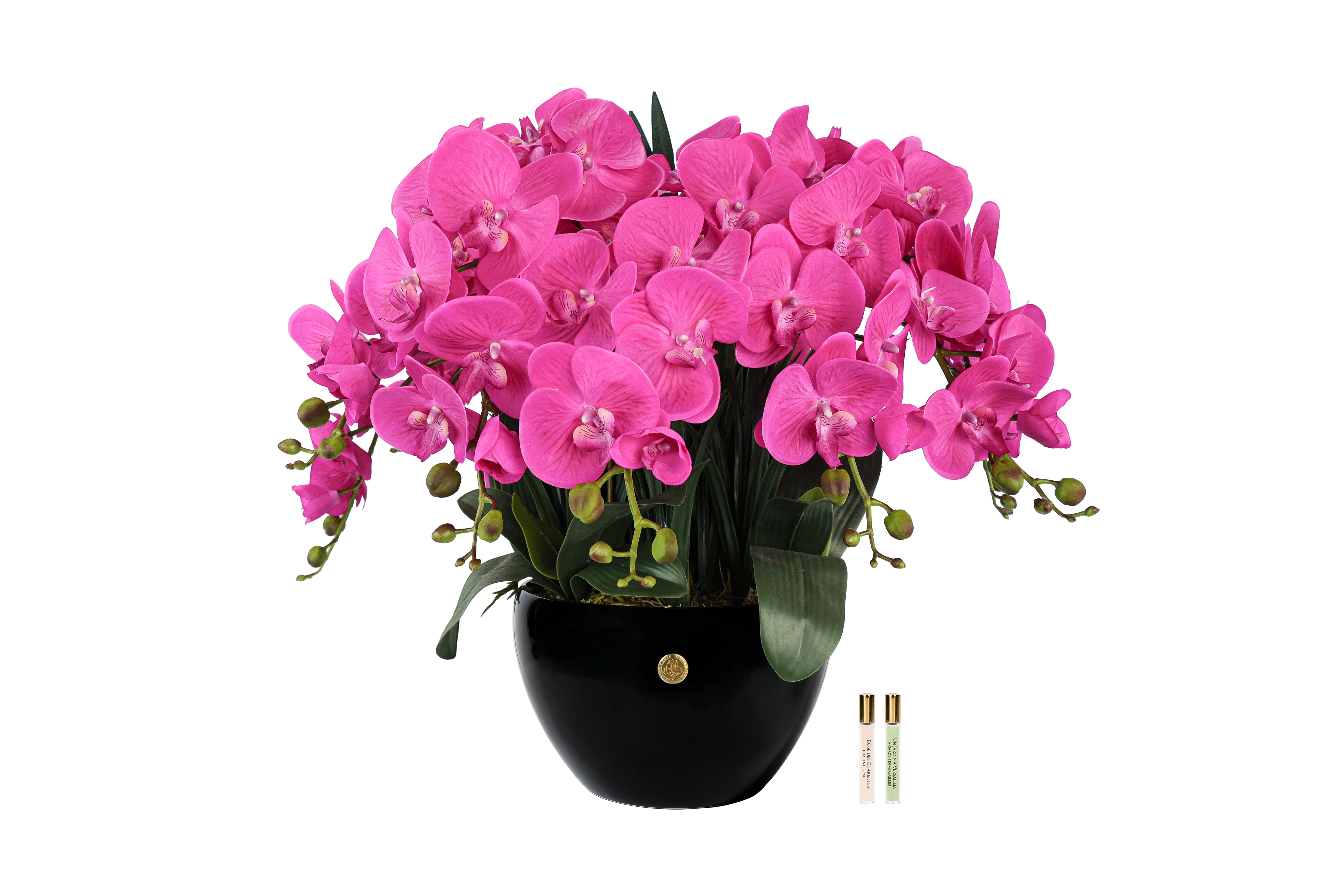Cote Noire Luxury Giant Orchid Bouquet - Pink in Ceramic Vase - GO09