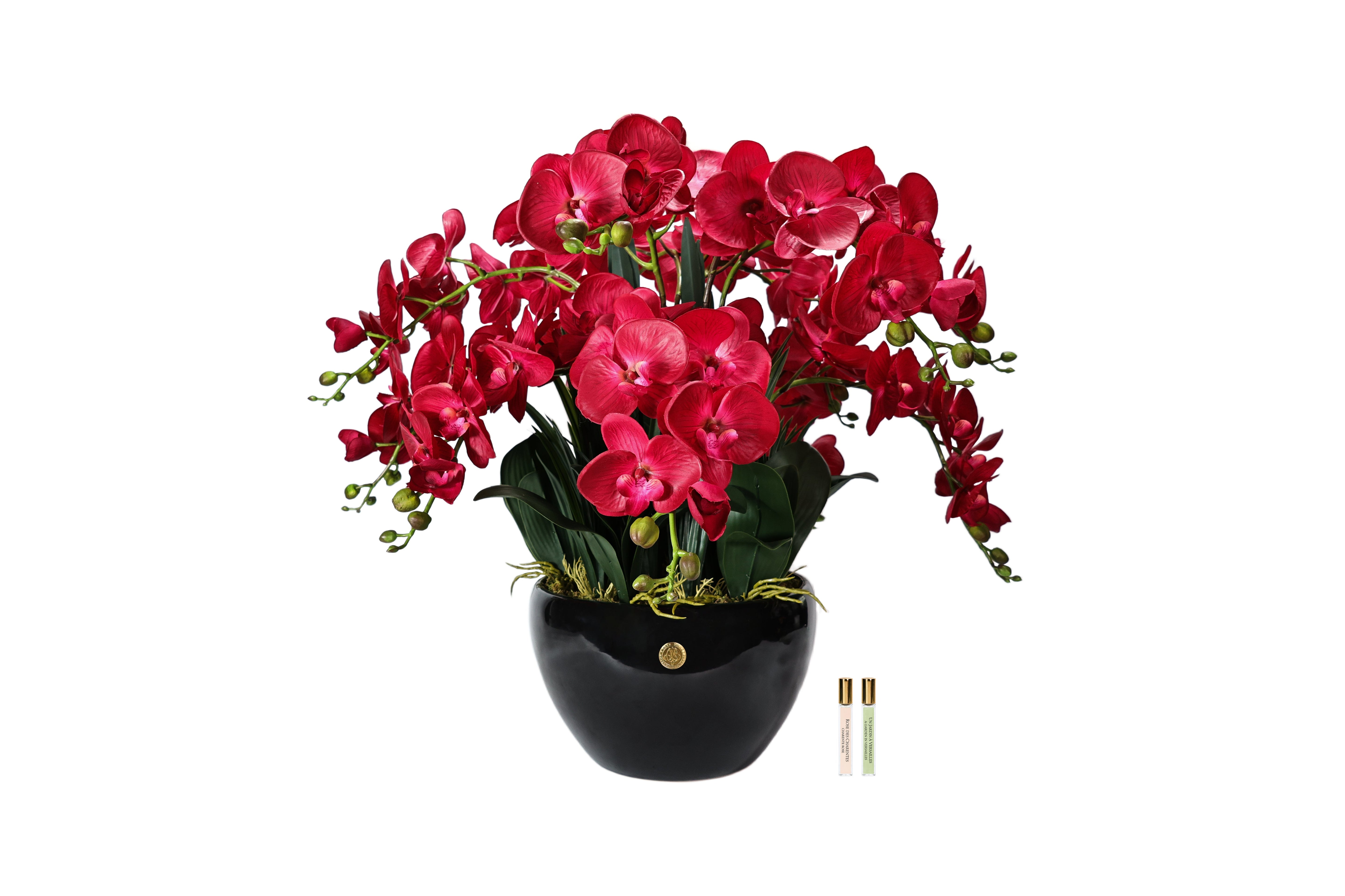 NEW Cote Noire Luxury Grand Orchid Bouquet - Red in Black Ceramic Vase - GO14