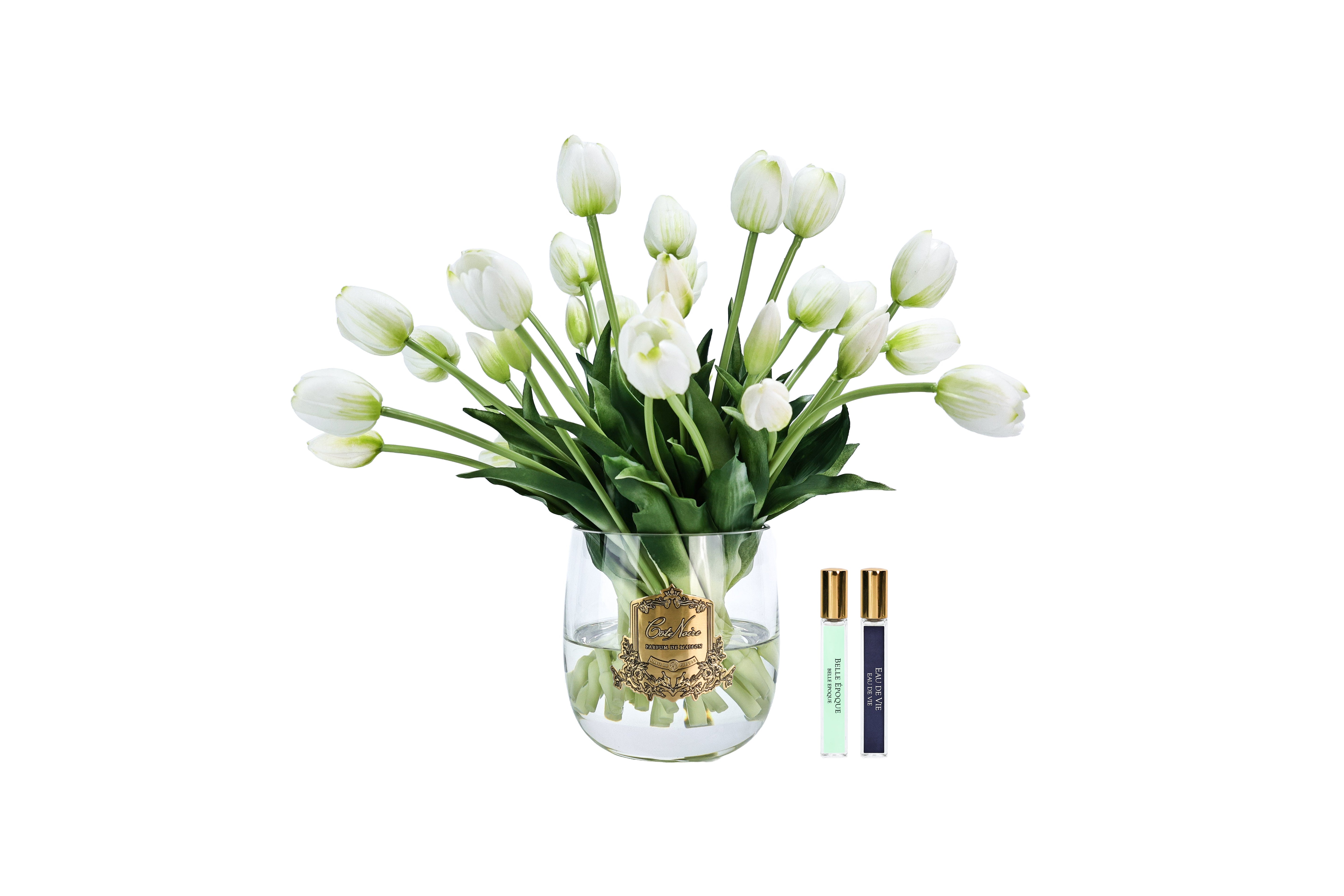 NEW - Cote Noire Heritage Tulips - Clear Vase with Gold Badge - White - HT01