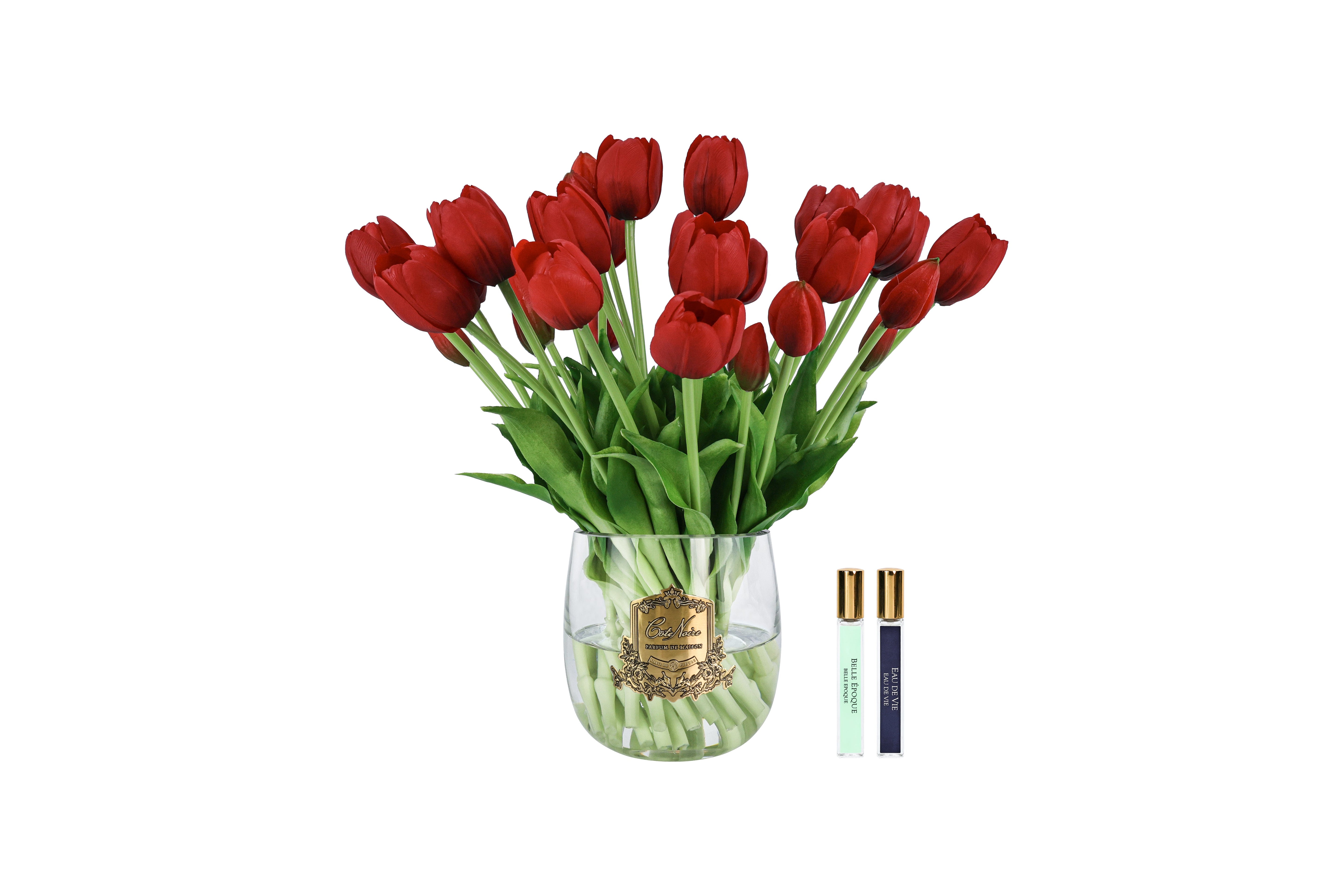 NEW - Cote Noire Heritage Tulips - Clear Vase with Gold Badge - Red - HT03