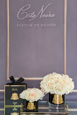 Cote Noire Luxury Grand Bouquet Dark Glass - Pink Plush - Gold Badge - LTWB02