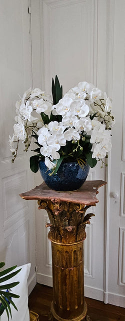 Cote Noire Luxury Giant Orchid Bouquet - White in Black Ceramic Vase - GO01
