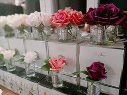 Cote Noire Perfumed Natural Touch Rose Bud - Clear - Peach - GMR45