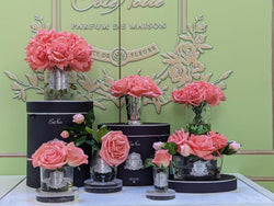 Cote Noire Perfumed Natural Touch 5 Roses - Clear - Peach - GMR65