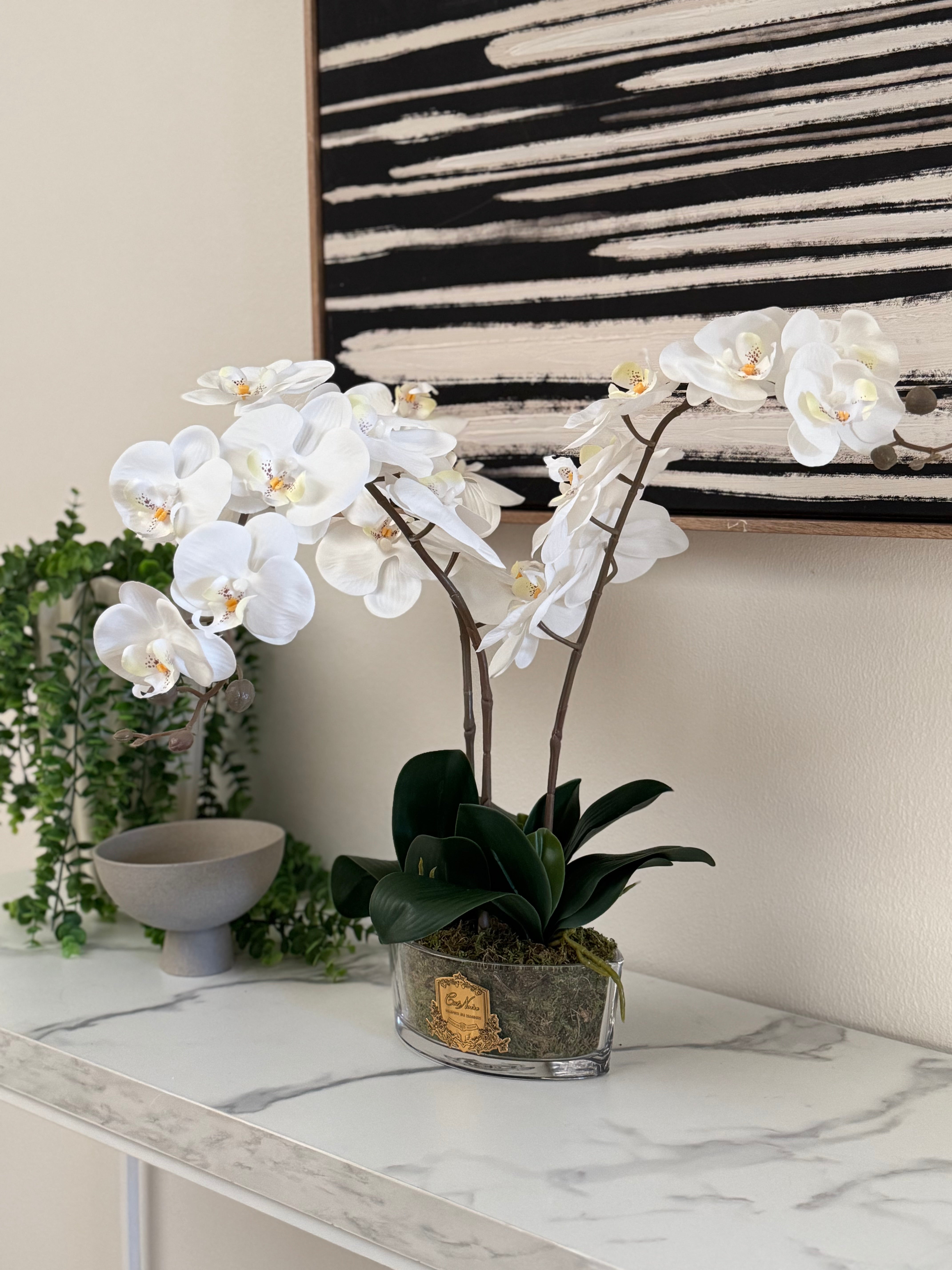 Cote Noire Oval Orchid Bouquet - White & Gold Badge - OOV01
