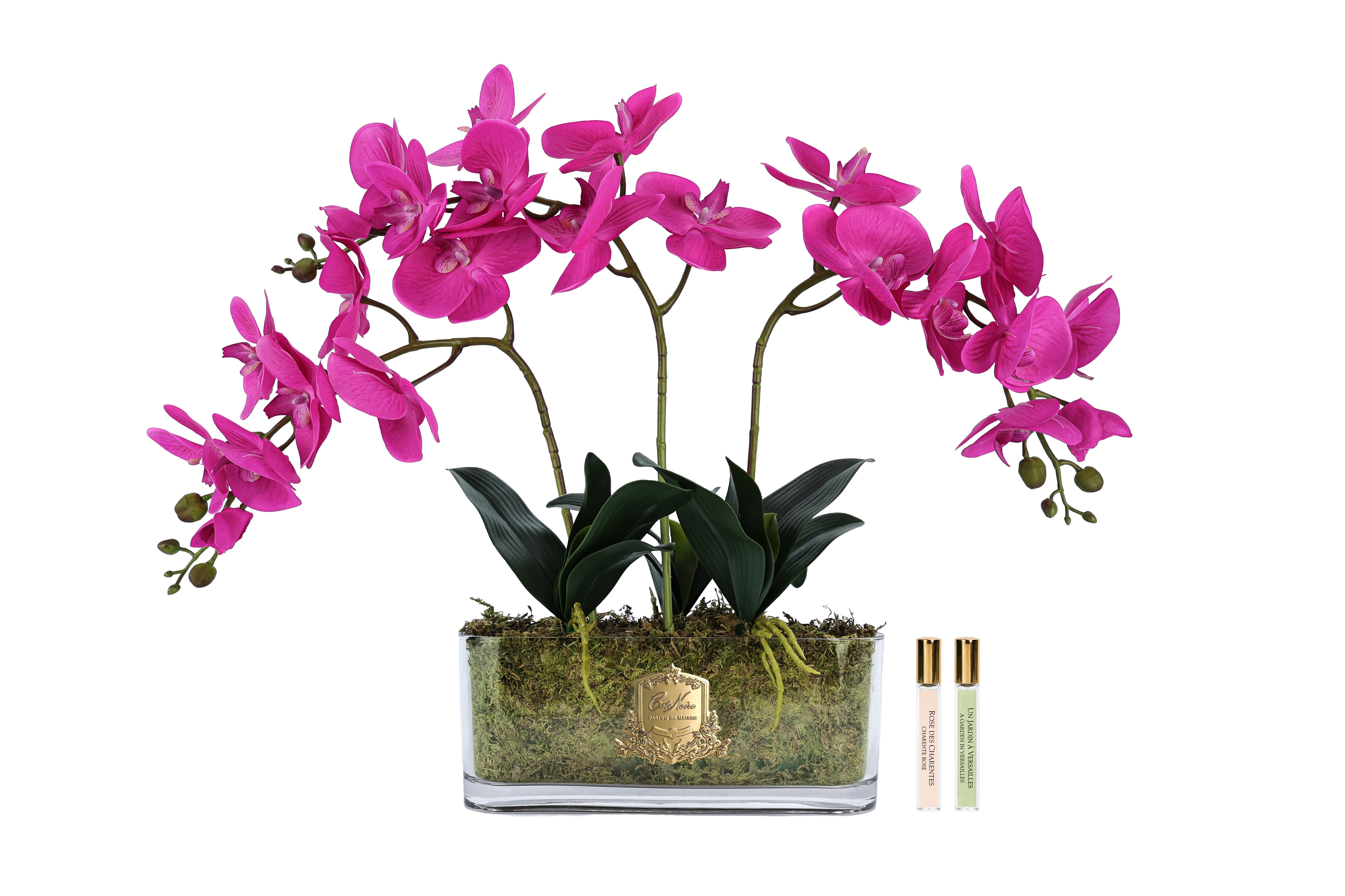 Cote Noire Oval Orchid Bouquet - Pink & Gold Badge - OOV09