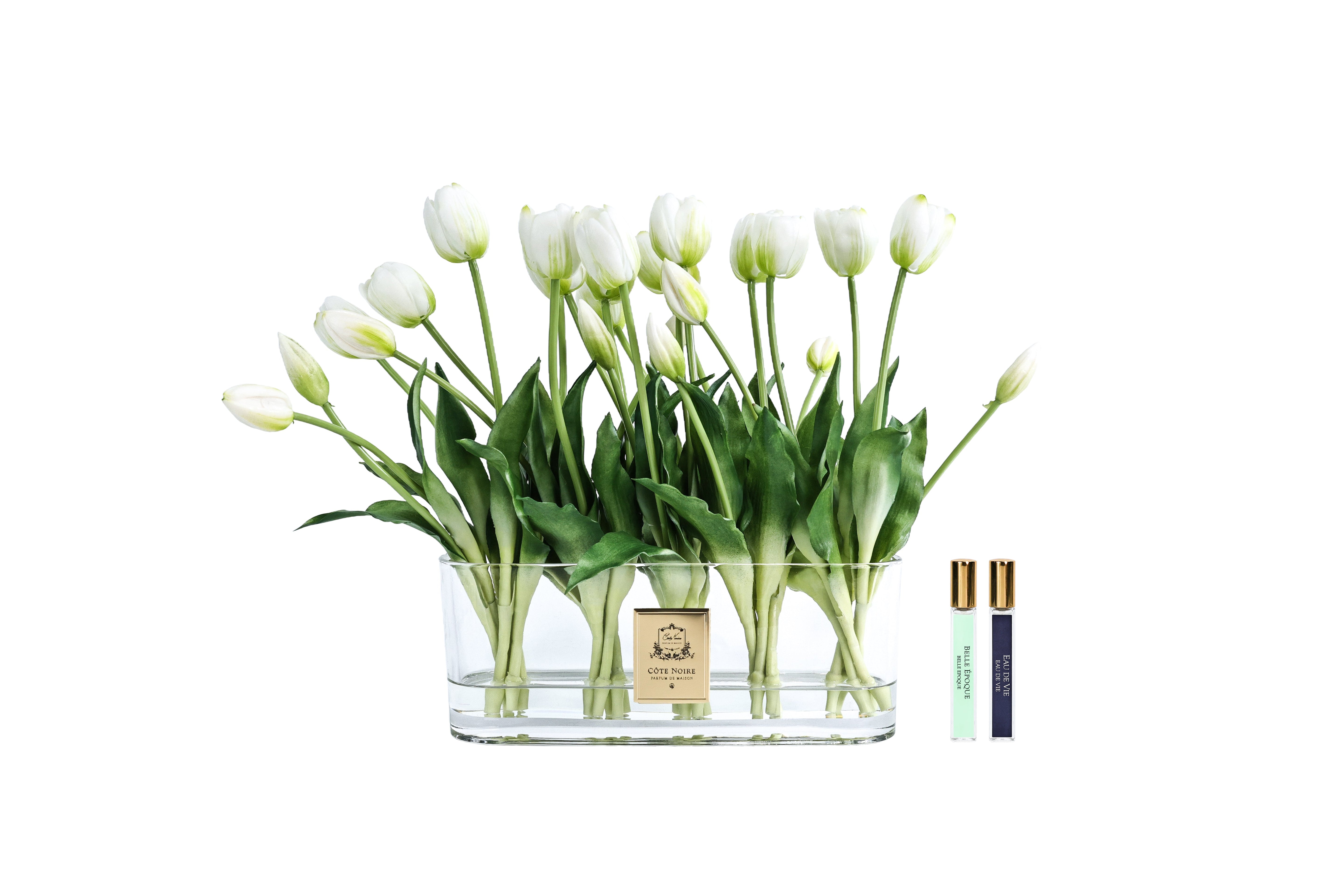 NEW - Cote Noire Oval Tulips - White - OT01