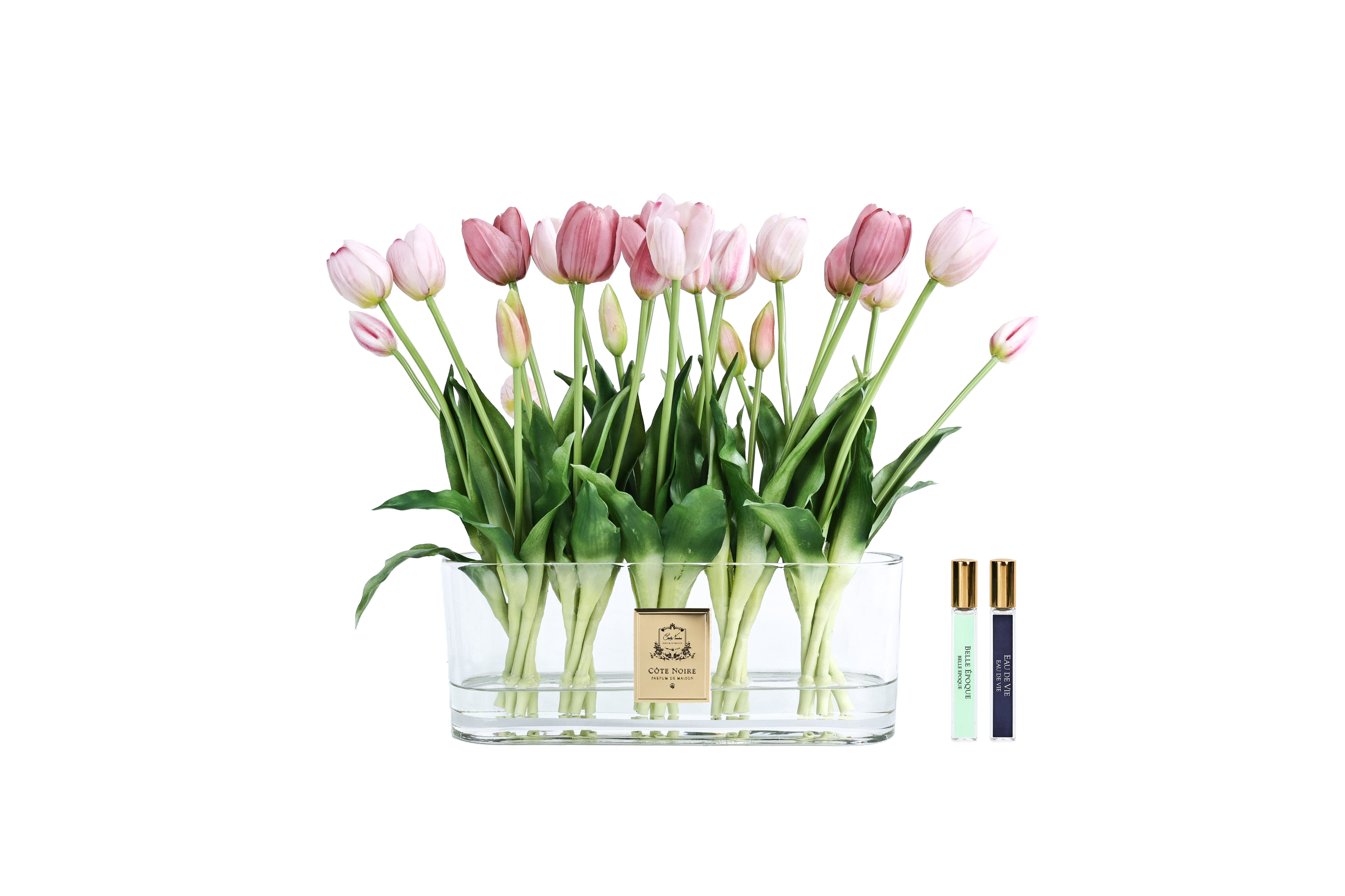 NEW - Cote Noire Oval Tulips - Pink- OT02