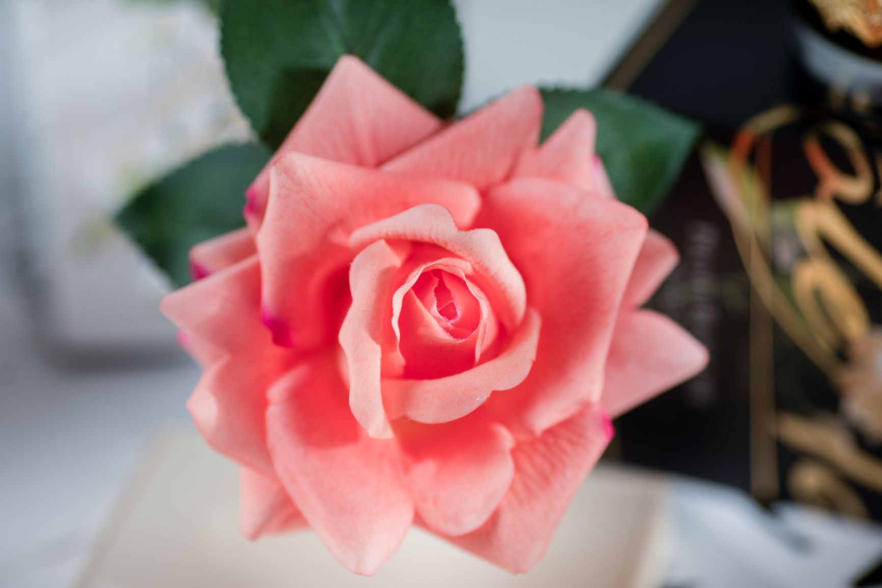 Cote Noire Perfumed Natural Touch Single Rose - Clear - Peach - GMR05