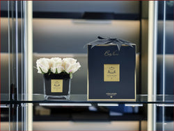 Cote Noire Couture Square 9 Rose Buds  - Square Black Vase - Gold & Pink Blush - SVB902