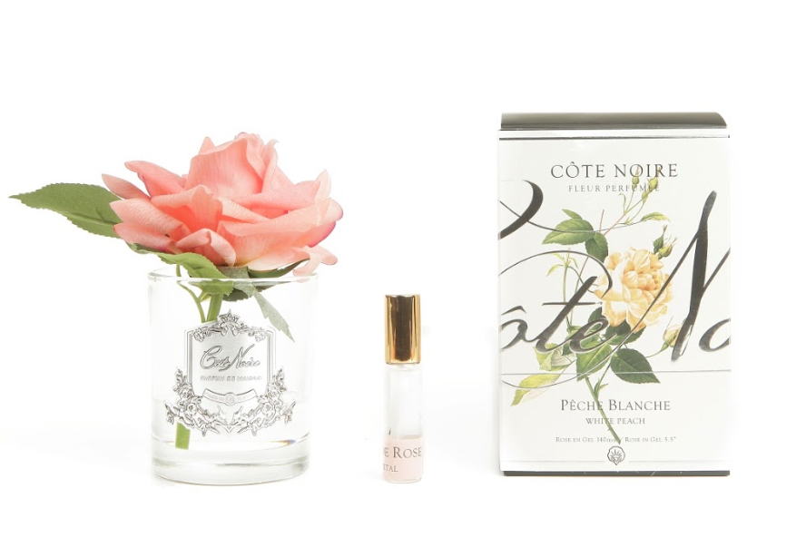 Cote Noire Perfumed Natural Touch Single Rose - Clear - Peach - GMR05