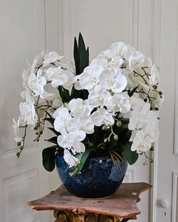 Cote Noire Luxury Giant Orchid Bouquet - White in Black Ceramic Vase - GO01