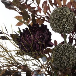 Rogue Chrysanthemum Fig Garden Mix-Malia Pot Purple 96x96x81cm