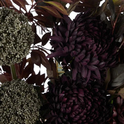 Rogue Chrysanthemum Fig Garden Mix-Malia Pot Purple 96x96x81cm