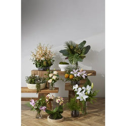 Rogue Dancing Orchid Garden Mix-Madelyn Bowl Cream/Glass 66x66x67cm